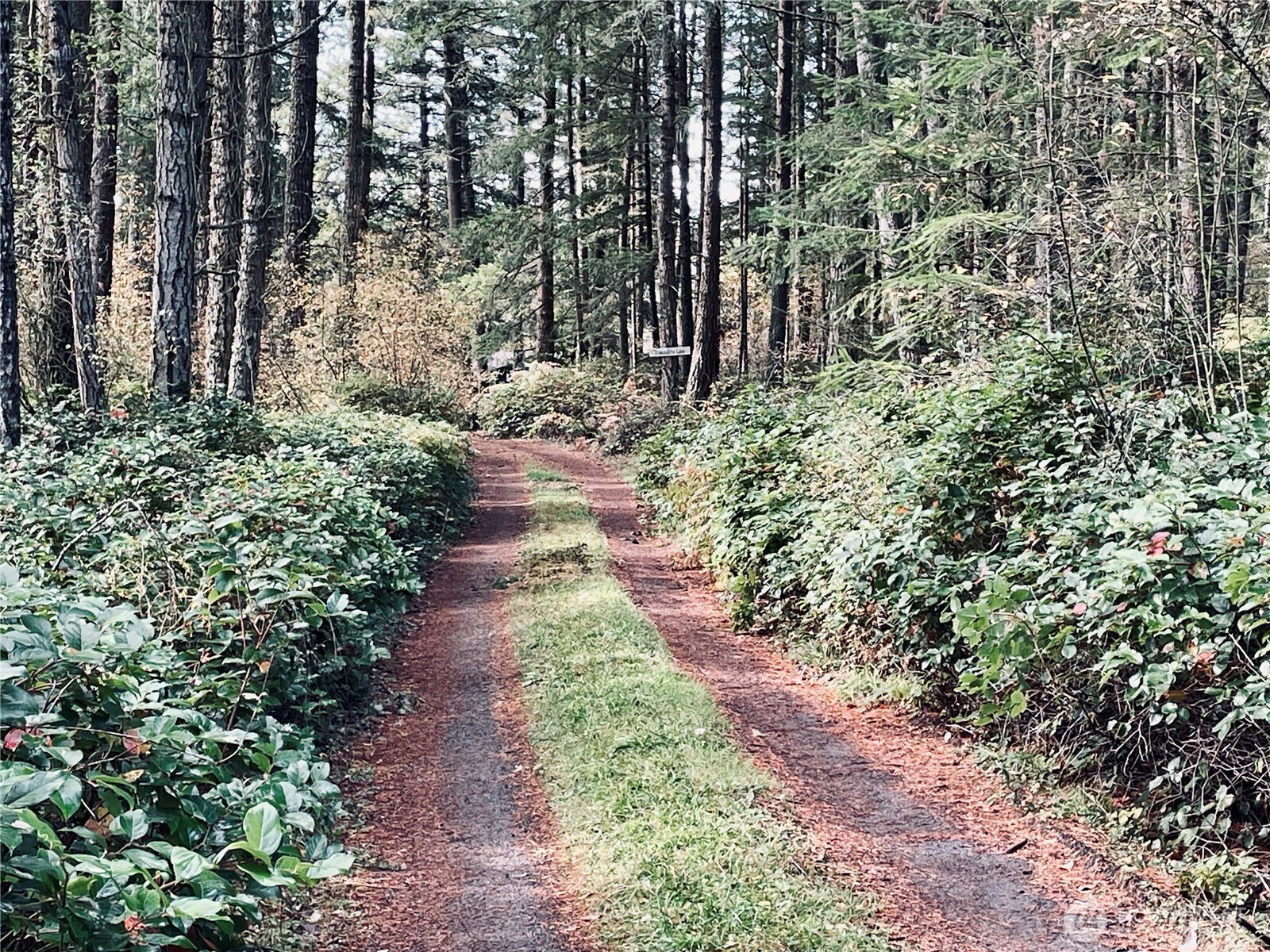 Friday Harbor, Washington, 98250, United States, 3 Bedrooms Bedrooms, ,2 BathroomsBathrooms,Residential,For Sale,1987882