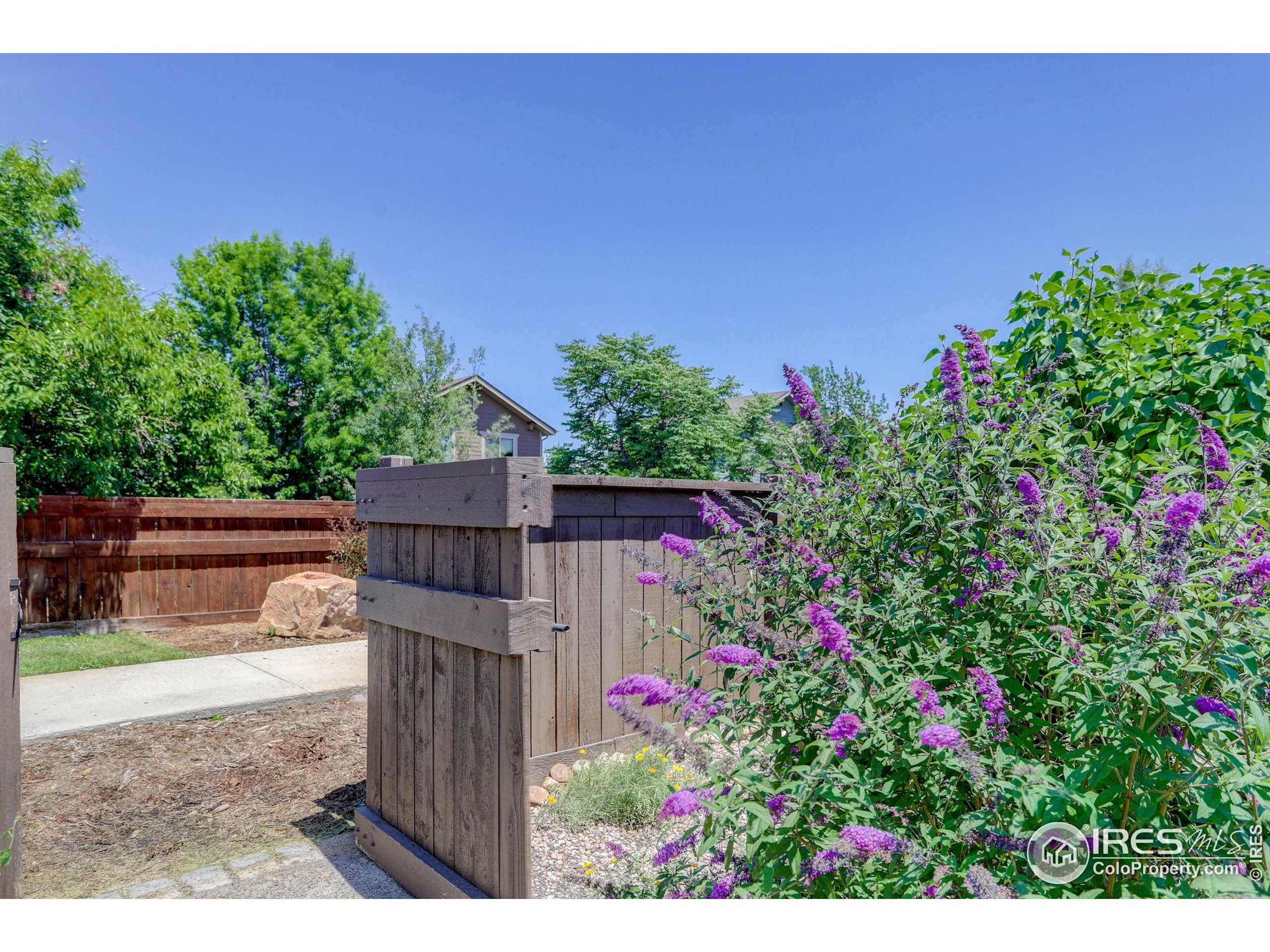 Windsor, Colorado, 80550, United States, 3 Bedrooms Bedrooms, ,1 BathroomBathrooms,Residential,For Sale,1932805