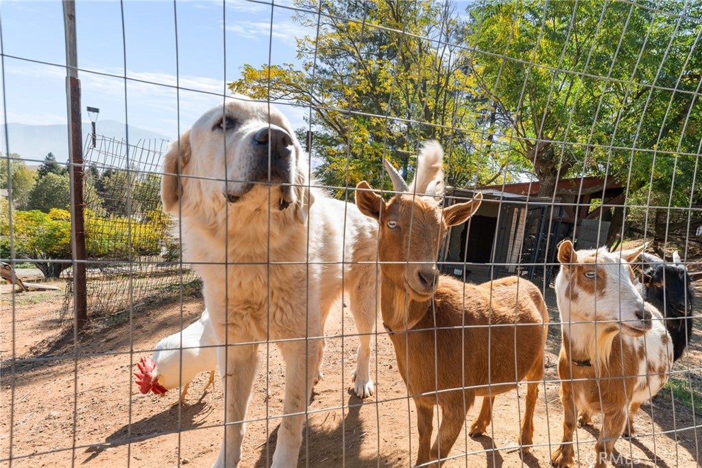 Banning, California, 92220, United States, 6 Bedrooms Bedrooms, ,4 BathroomsBathrooms,Residential,For Sale,1977497