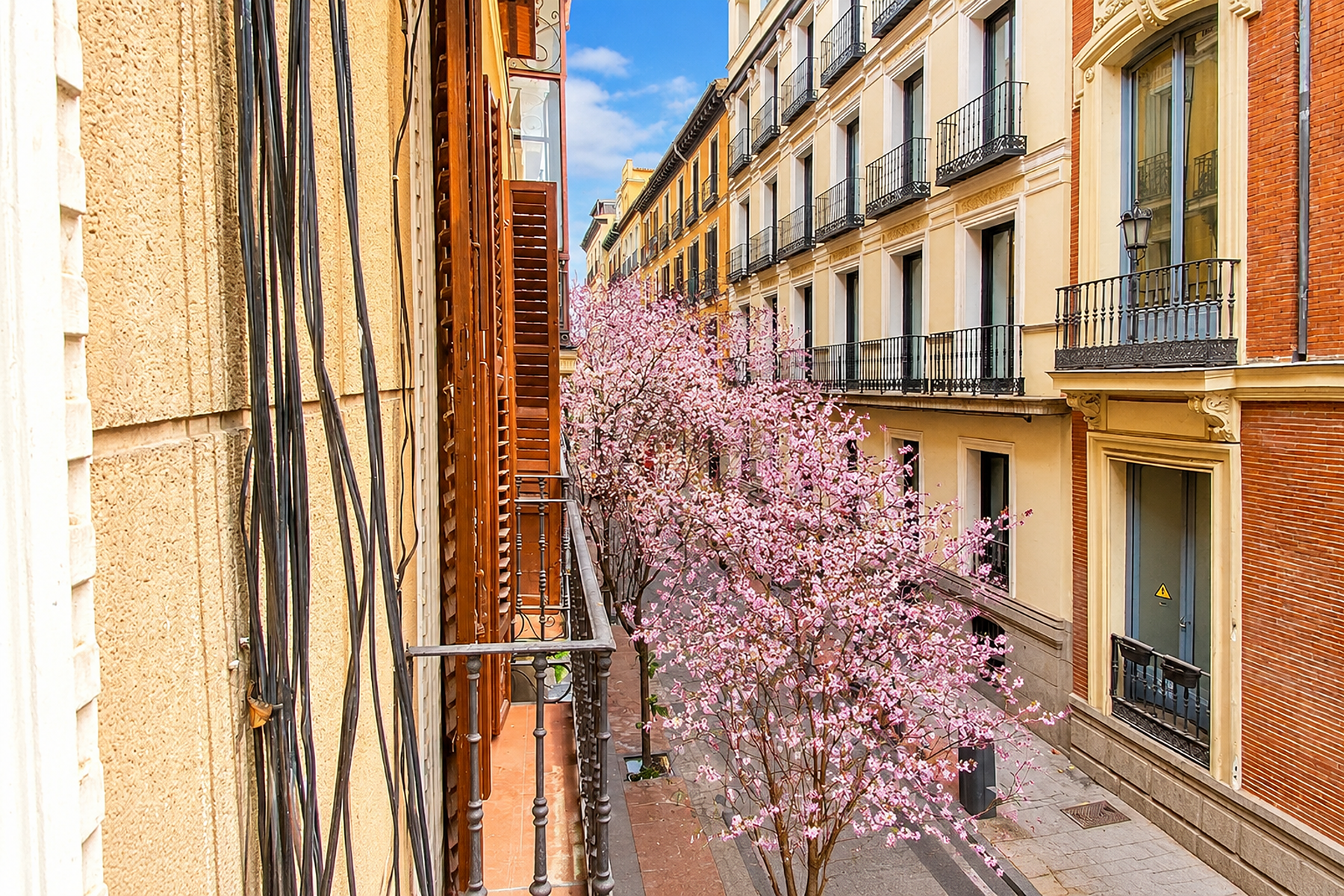  Magnificent flat to refurbish in the literary quarter - 物件實景