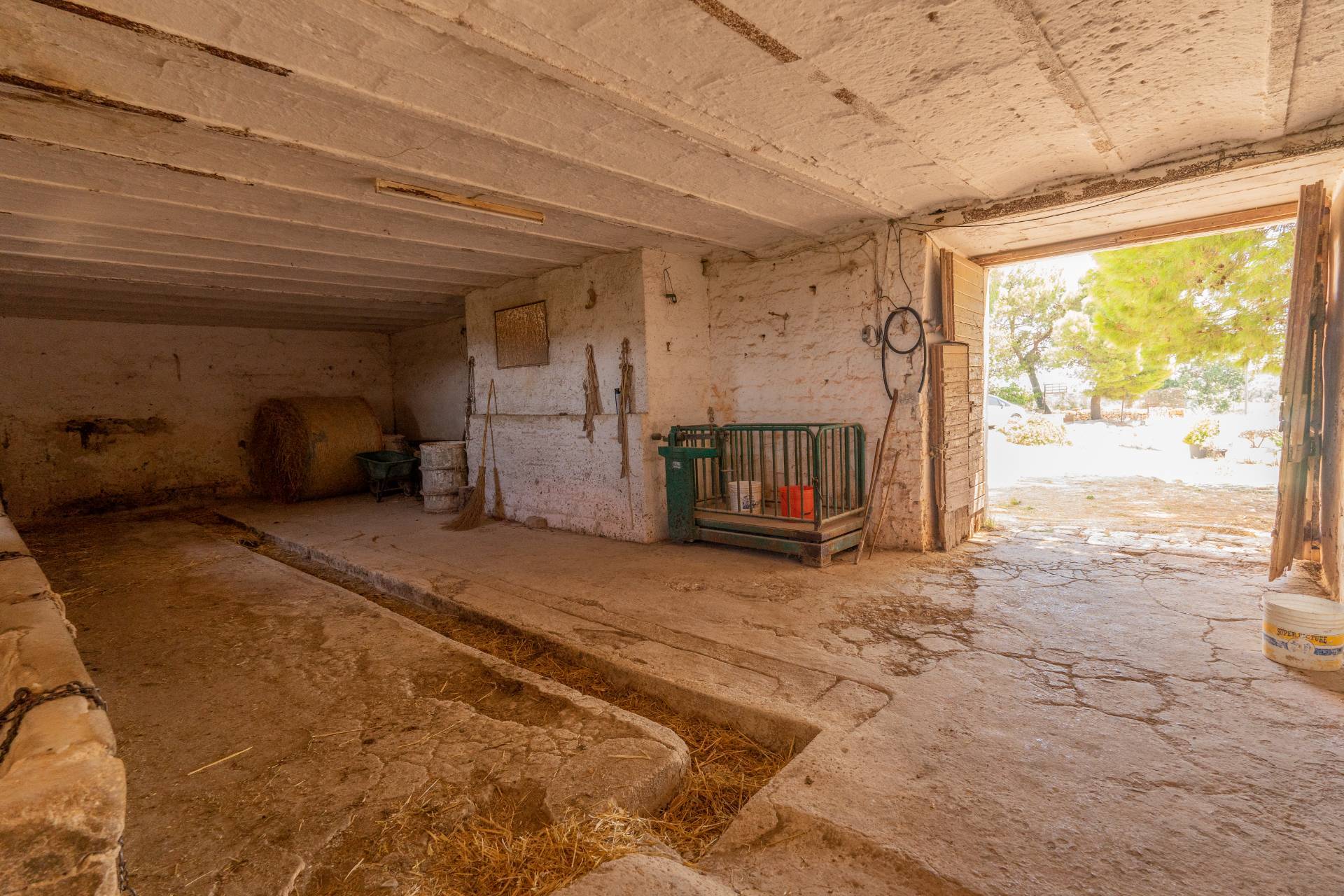 Contrada San Biagio, Ostuni, Brindisi, 72017, IT, 4 Bedrooms Bedrooms, ,2 BathroomsBathrooms,Residential,For Sale,Contrada San Biagio,1504310
