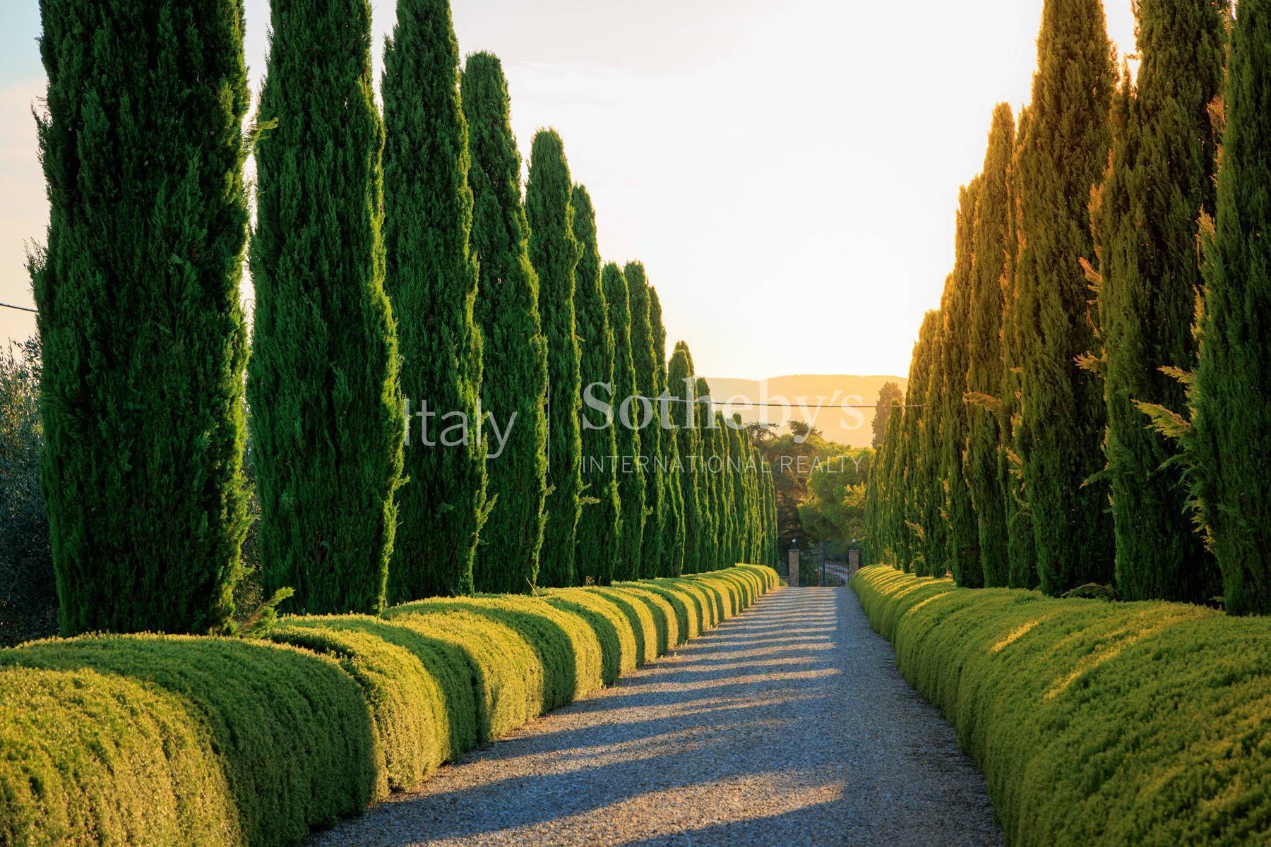  Incomparable Estate in the Tuscan countryside - 物件實景