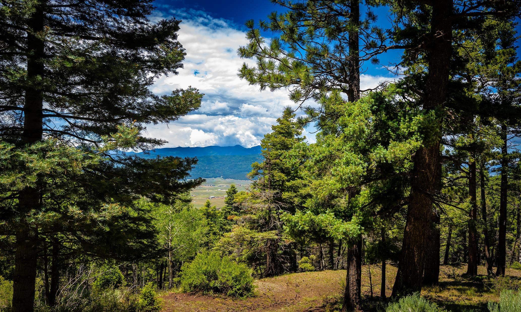 Angel Fire, New Mexico, 87710, United States, 5 Bedrooms Bedrooms, ,5 BathroomsBathrooms,Land,For Sale,1882834