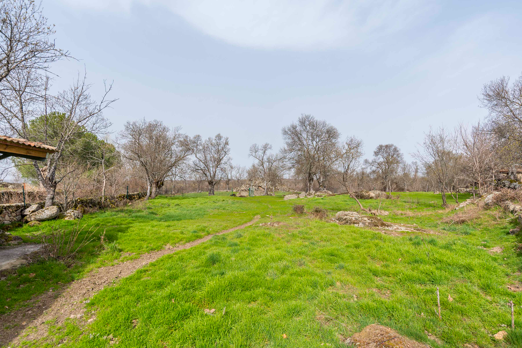  Spectacular estate for promotion in Sotosalbos, Segovia - 物件實景