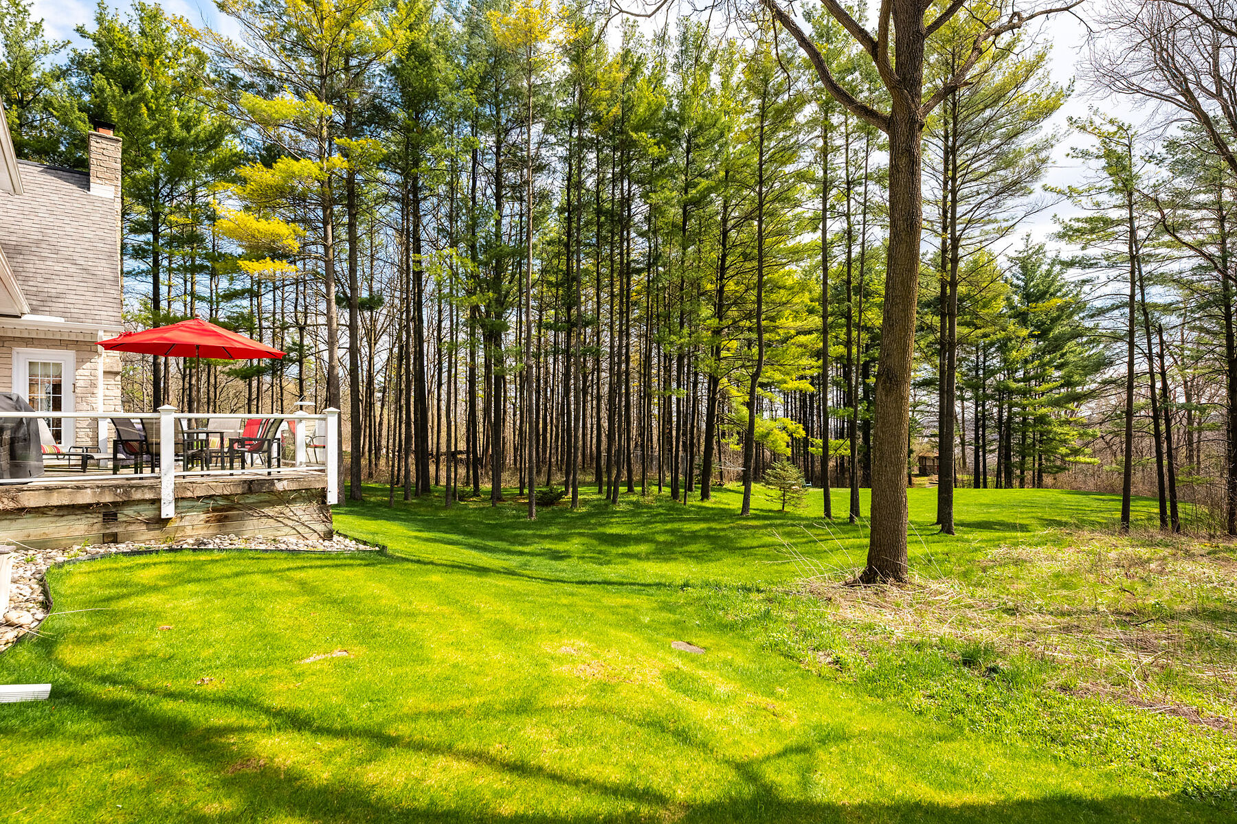  Modern Detached Home - 物件實景