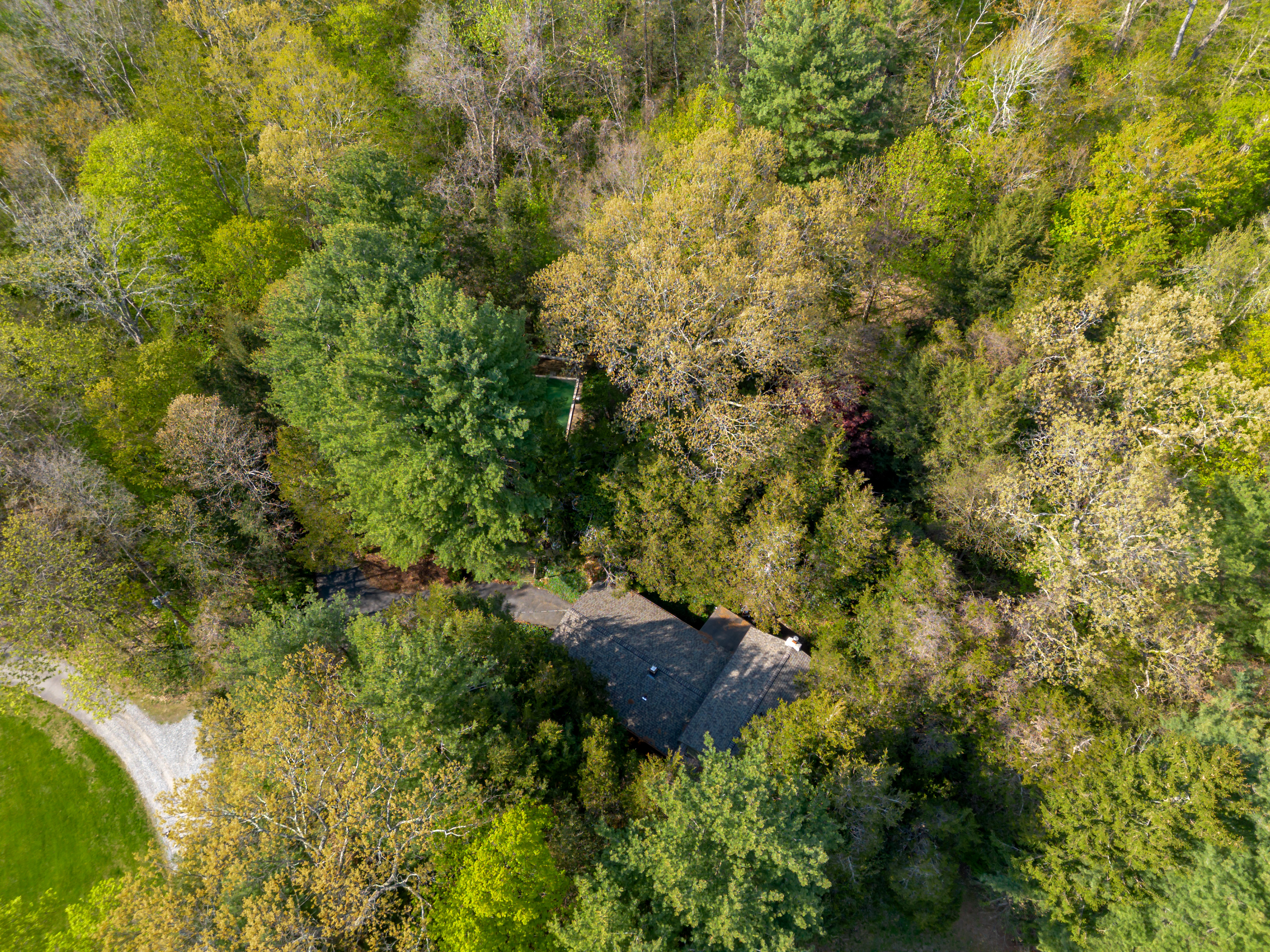  5 Bedroom Home on 2.9 Private Acres - 物件實景