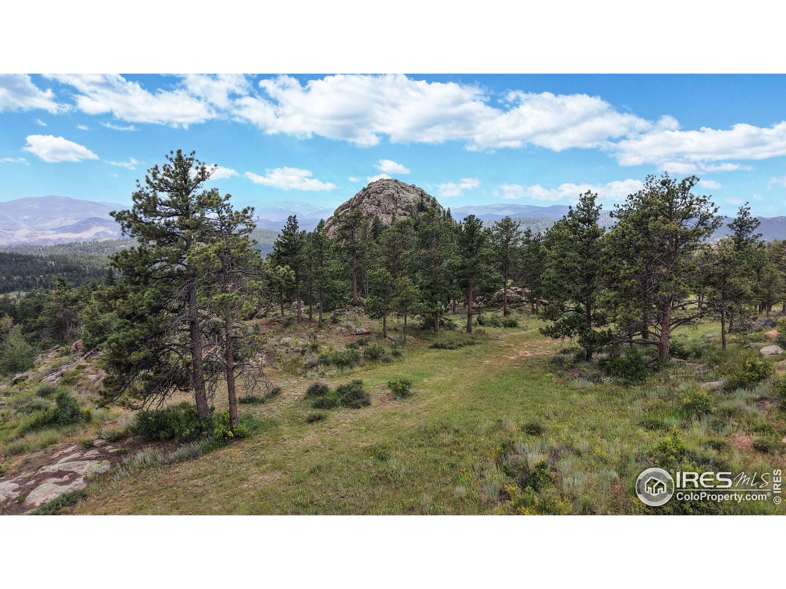 Livermore, Colorado, 80536, United States, 3 Bedrooms Bedrooms, ,1 BathroomBathrooms,Residential,For Sale,1885464