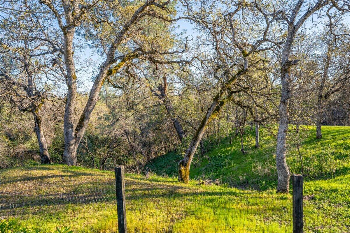 Redding, California, 96001, United States, 3 Bedrooms Bedrooms, ,2 BathroomsBathrooms,Residential,For Sale,1949690
