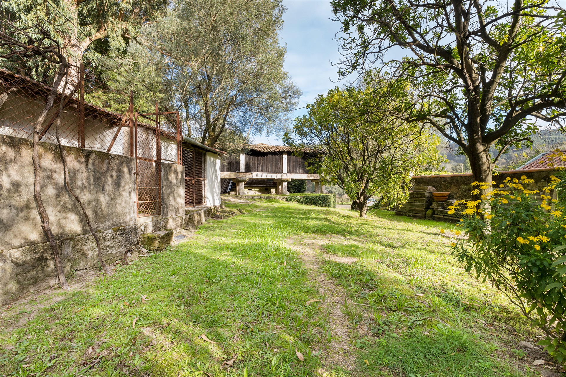  Farm, 6 bedrooms, for Sale - 物件實景