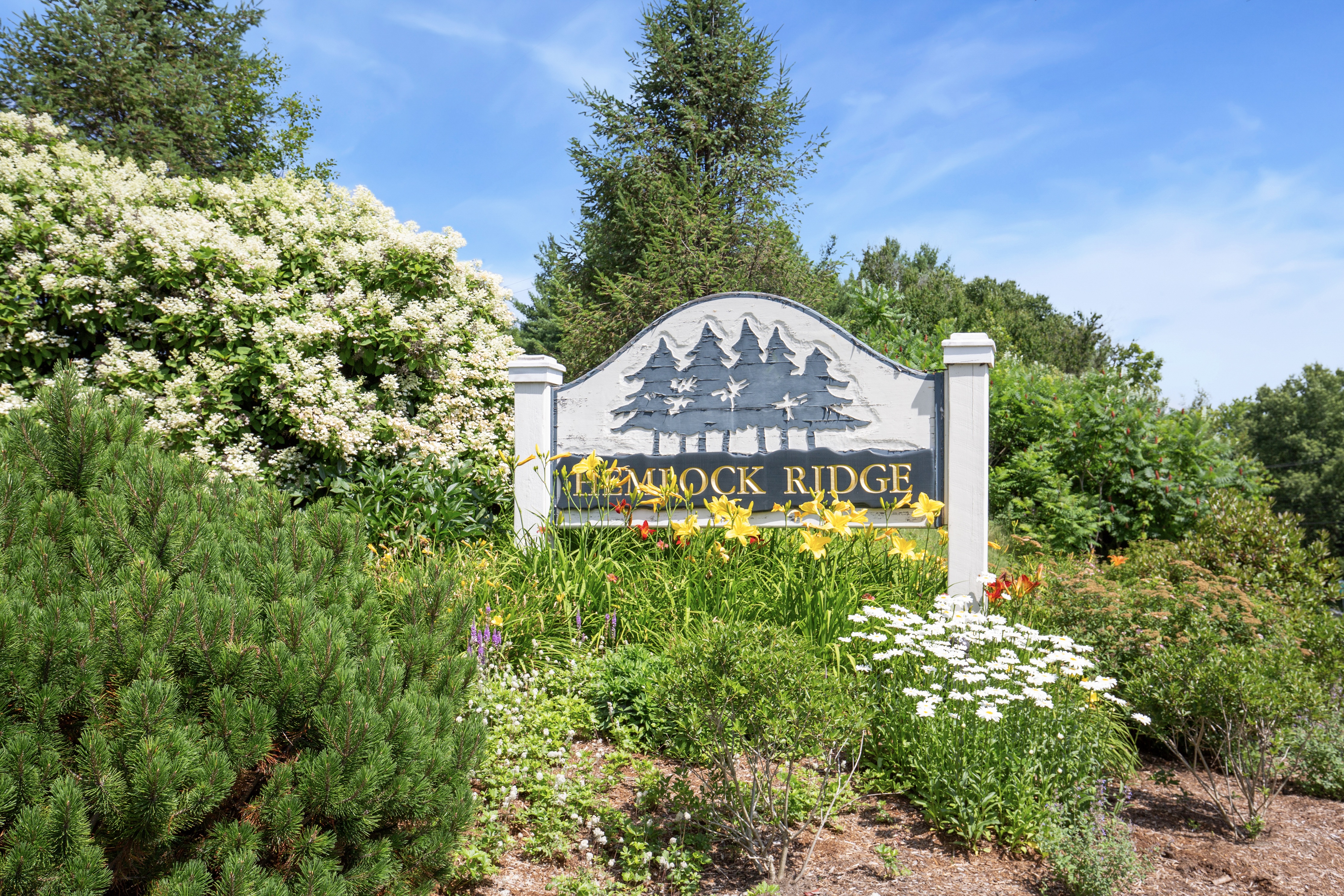  16 Hemlock Ridge Drive - 物件實景