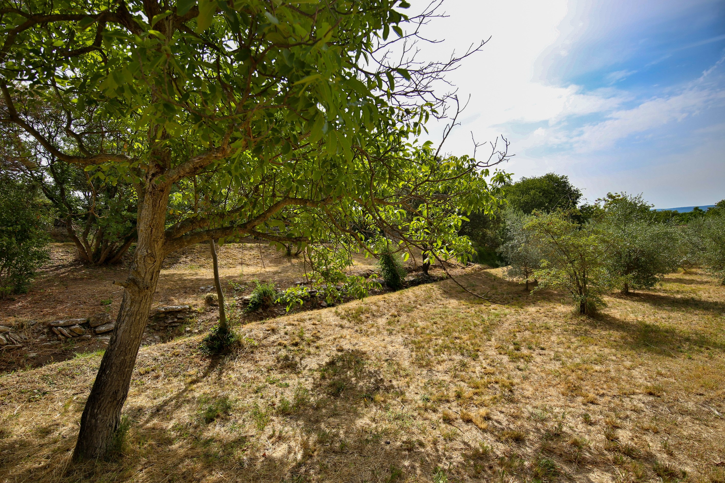  Exceptional building plot in Gordes - 物件實景