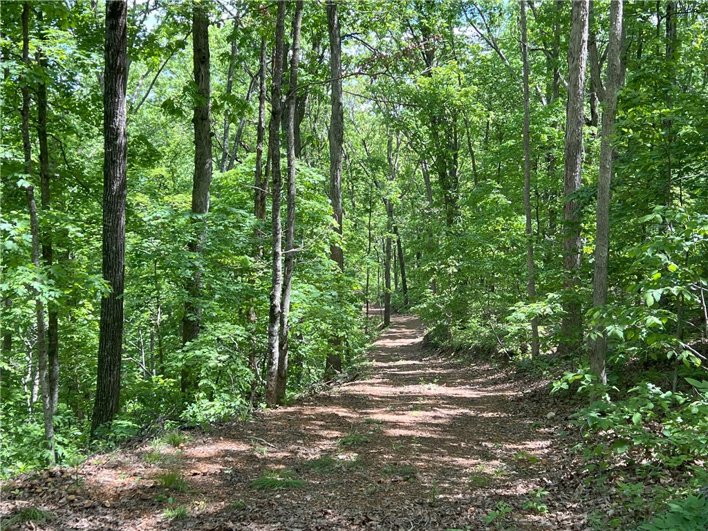Garfield, Arkansas, 72732, United States, ,Land,For Sale,1804669