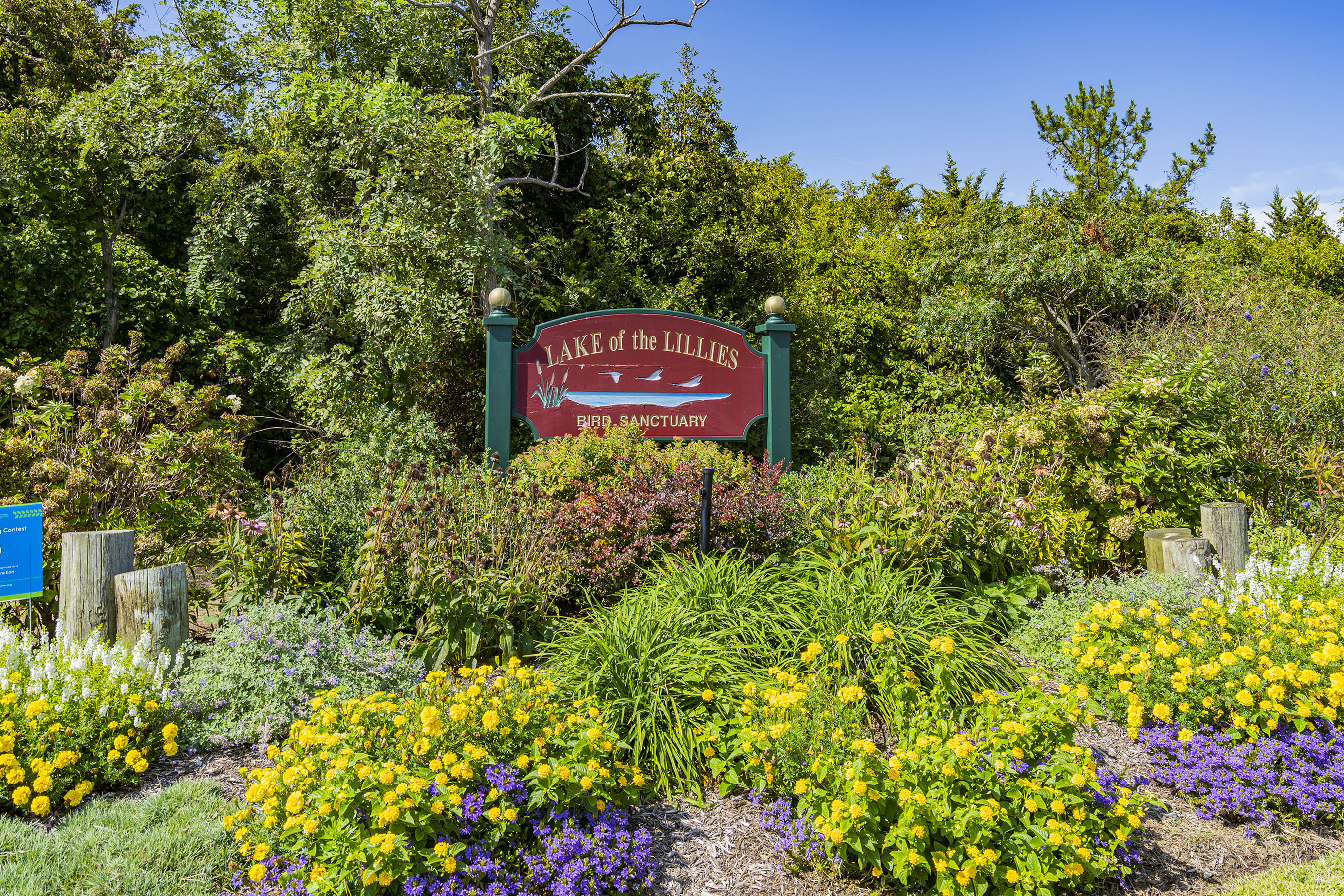  Spacious Shore Colonial in Bay Head Pointe - 物件實景