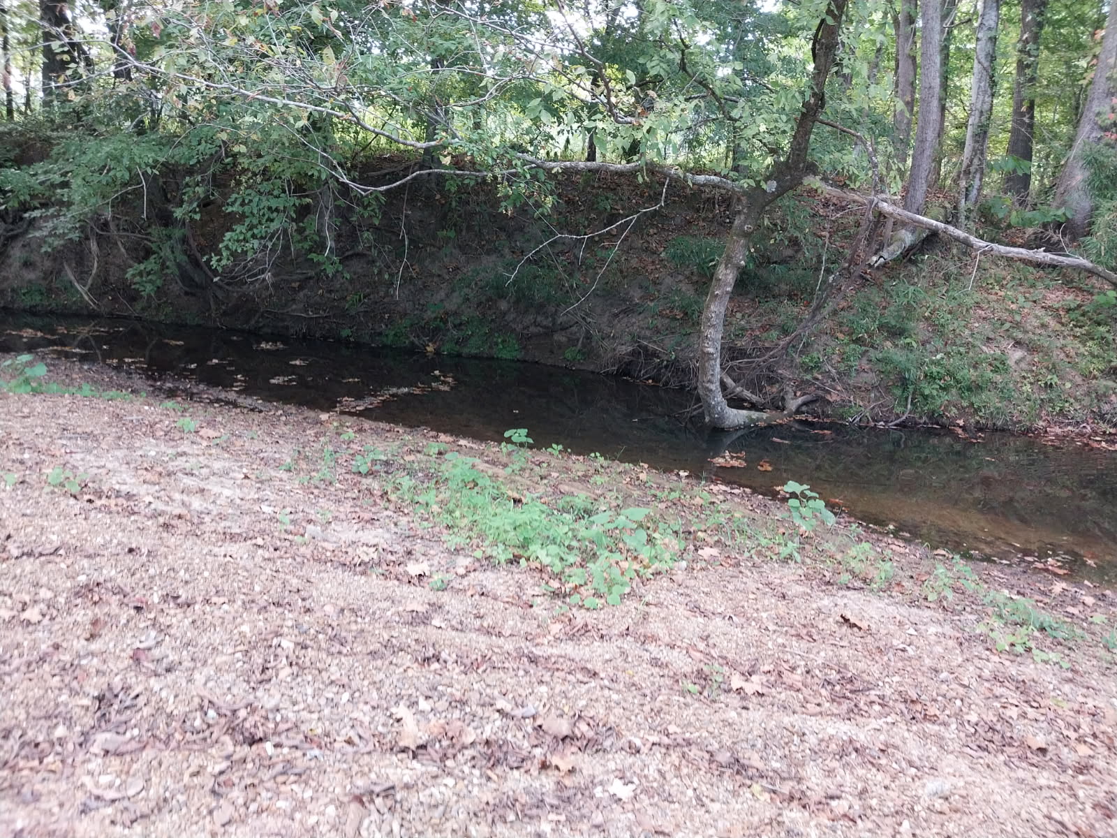 Hornbeak, Tennessee, 38232, United States, 3 Bedrooms Bedrooms, ,2 BathroomsBathrooms,Residential,For Sale,2005816