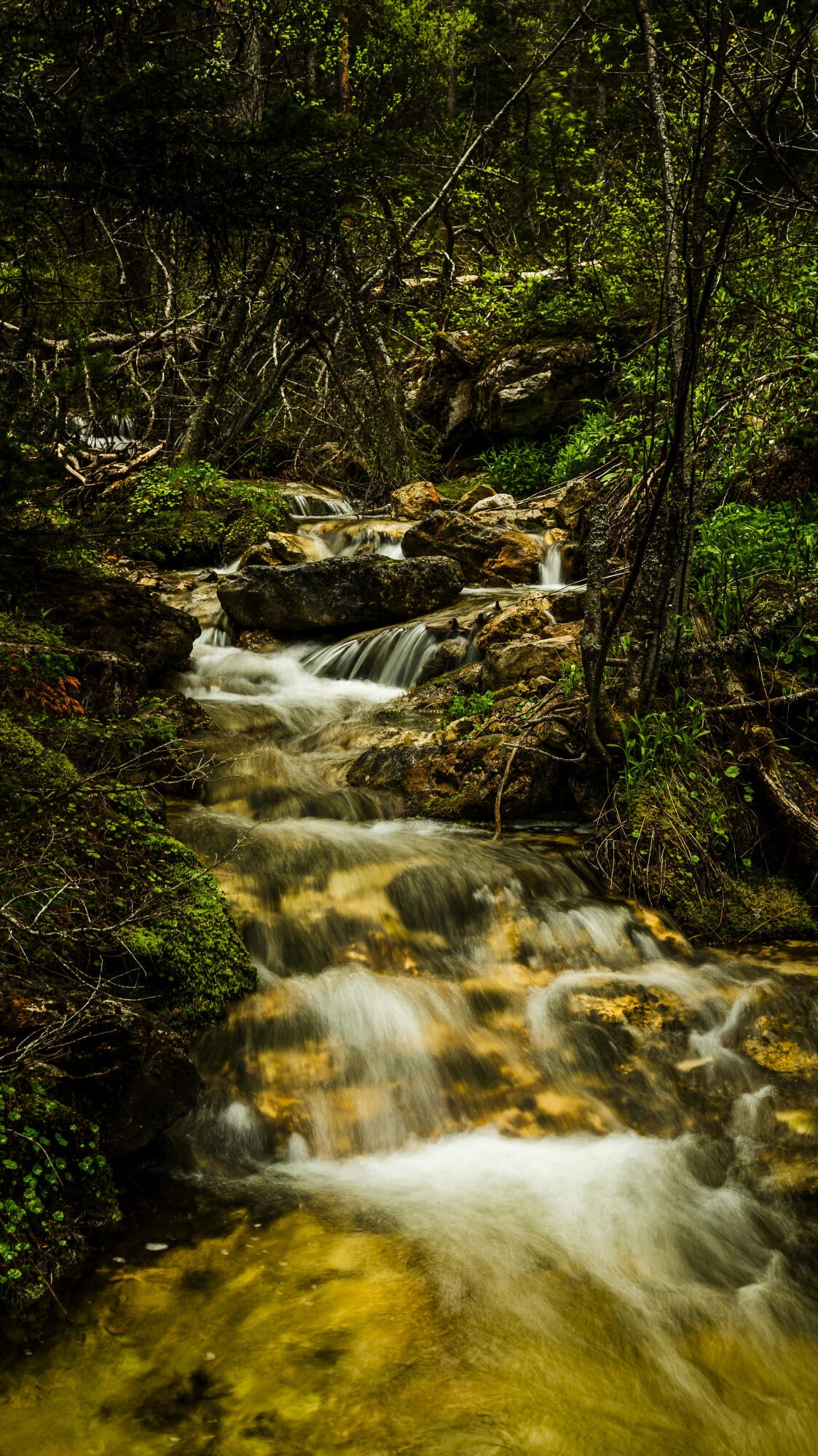 Big Horn, Wyoming, 82833, United States, ,Residential,For Sale,2011314