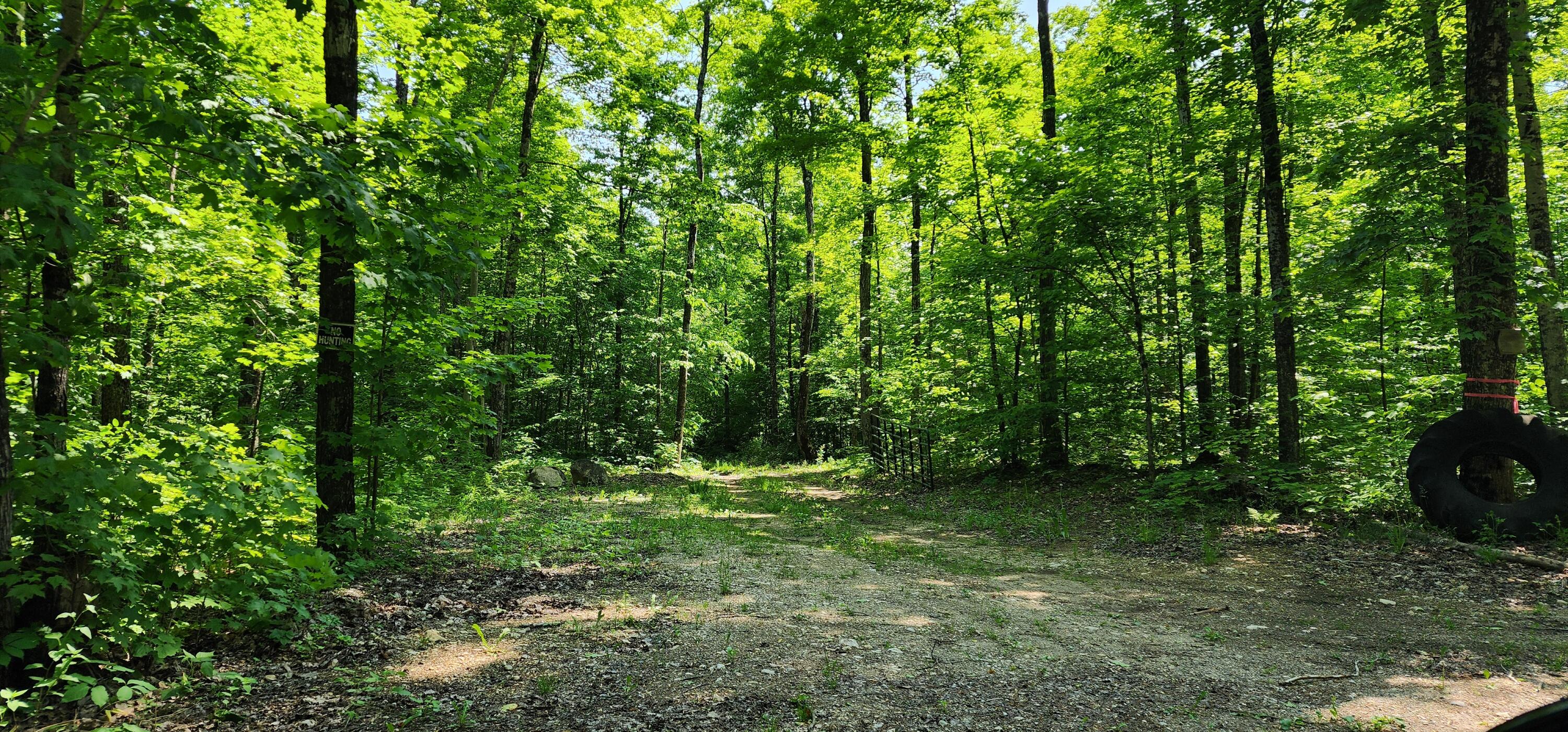 3625 E Simmons Rd RD, Hessel, Michigan, 49745, United States, ,Land,For Sale,3625 E Simmons Rd RD,1619252