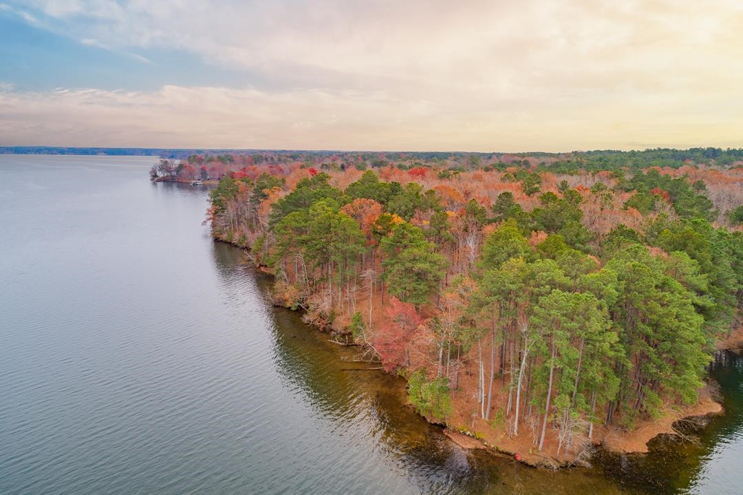 Lot 8 Serenity Point, Littleton, North Carolina, 28750, United States, ,Land,For Sale,Lot 8 Serenity Point,1659494