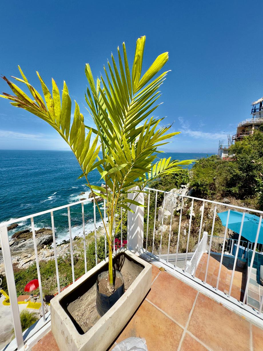 Puerto Vallarta, Jalisoc, 48270, Mexico, 2 Bedrooms Bedrooms, ,2 BathroomsBathrooms,Residential,For Sale,1940331