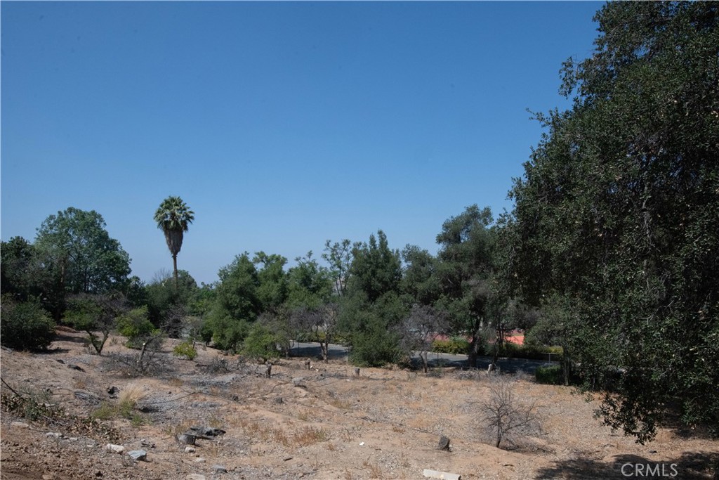 Riverside, California, 92506, United States, 4 Bedrooms Bedrooms, ,3 BathroomsBathrooms,Residential,For Sale,1926209