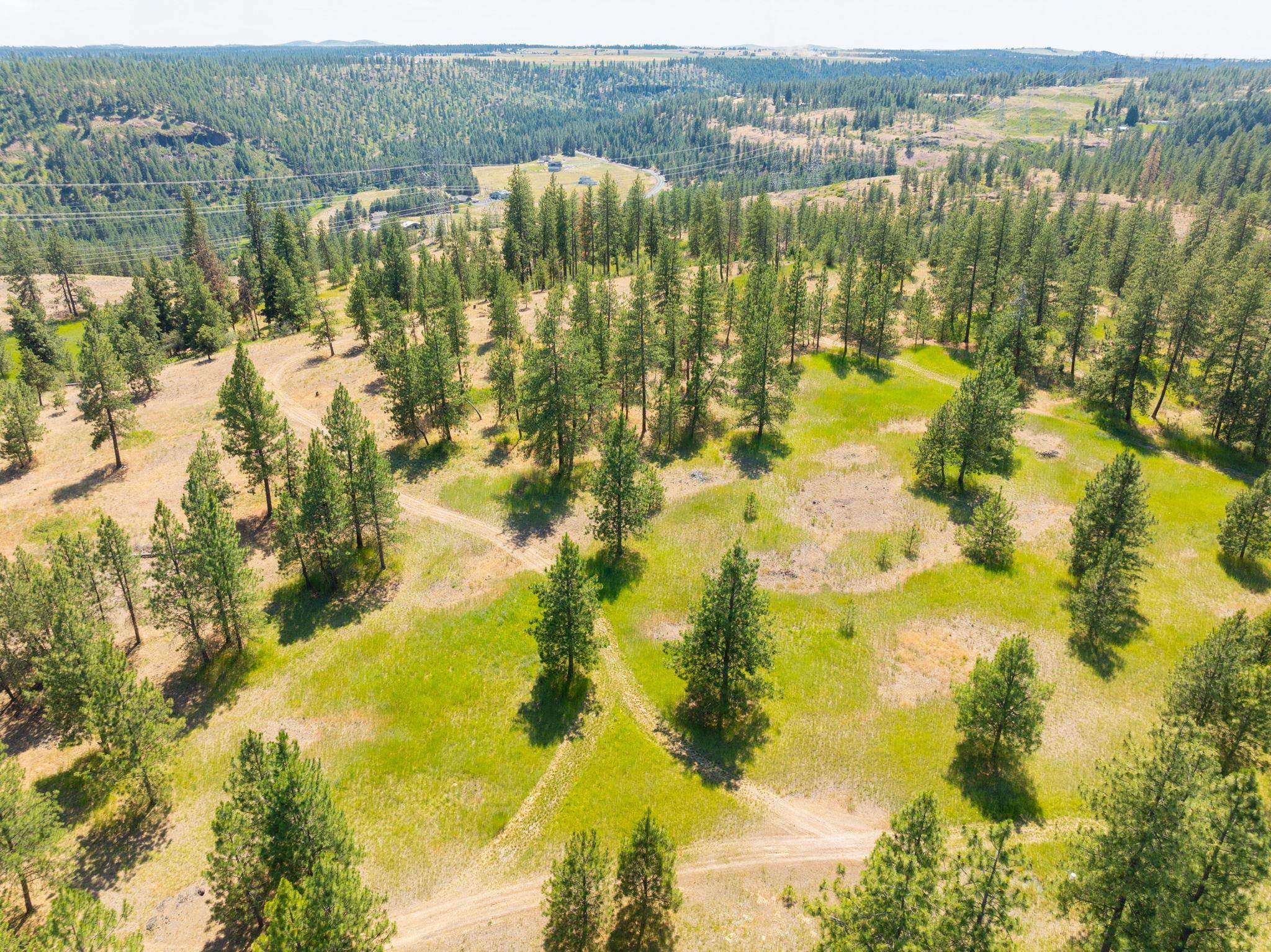 Nine Mile Falls, Washington, 99026, United States, ,Land,For Sale,1960887