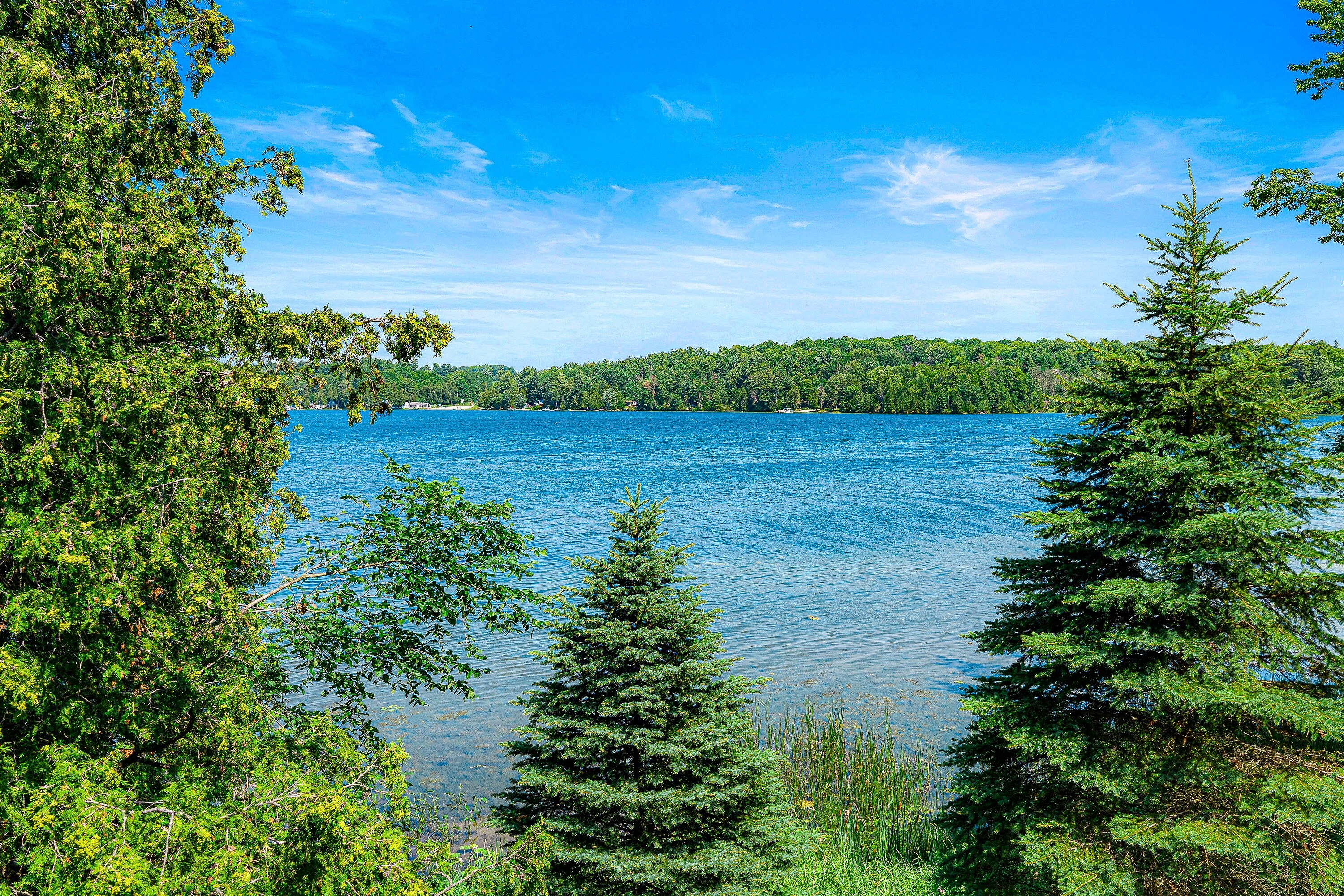  Picture Perfect Lake - 物件實景