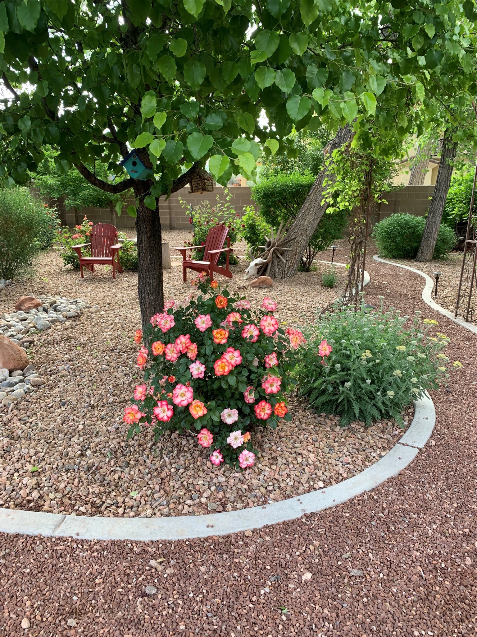  924 Camino Vista Rio - 物件實景