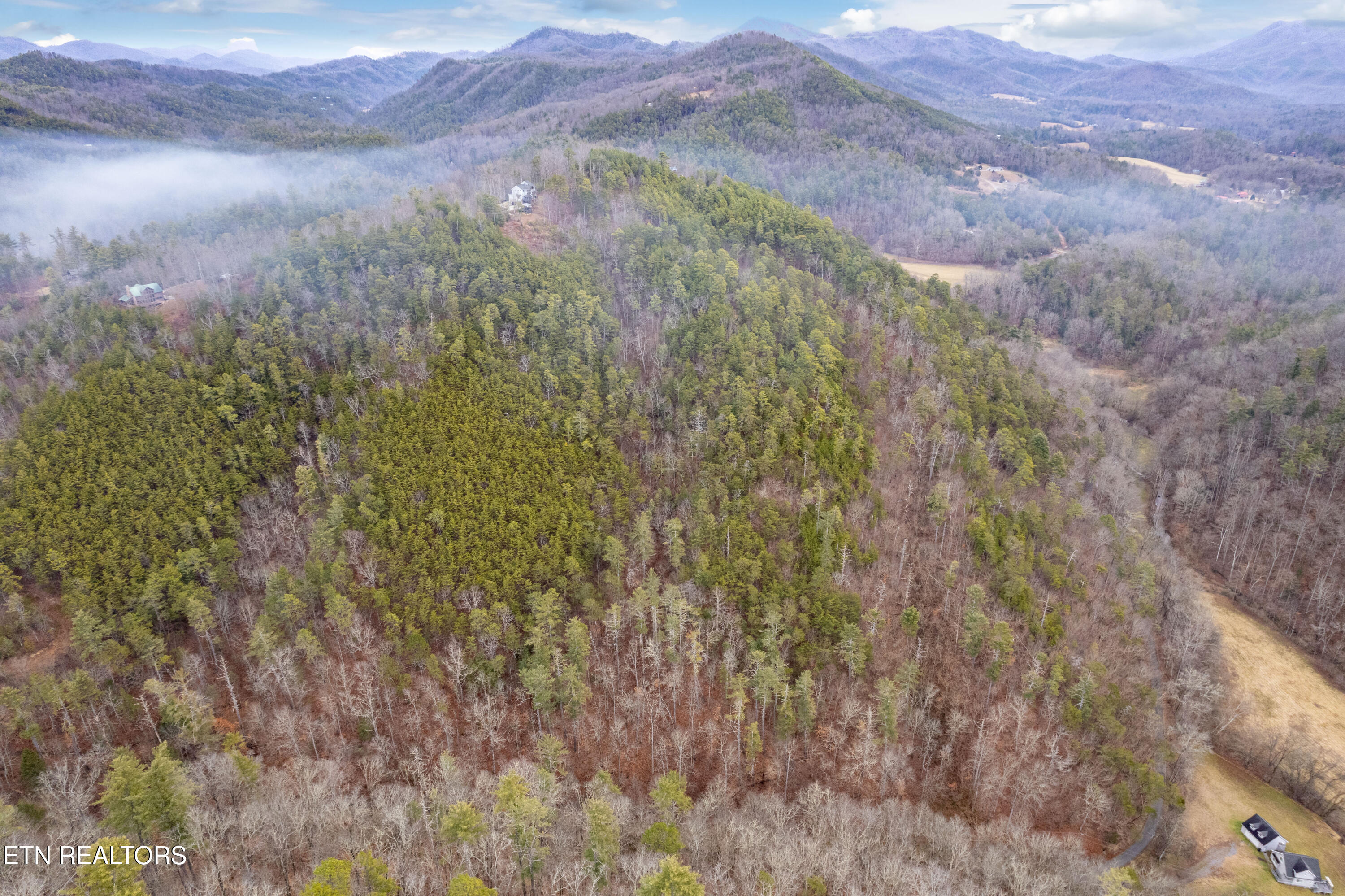 Townsend, Tennessee, 37882, United States, 3 Bedrooms Bedrooms, ,3 BathroomsBathrooms,Residential,For Sale,1982274