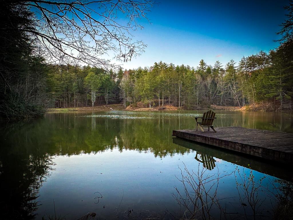 Ellijay, Georgia, 30536, United States, 5 Bedrooms Bedrooms, ,3 BathroomsBathrooms,Residential,For Sale,1982732