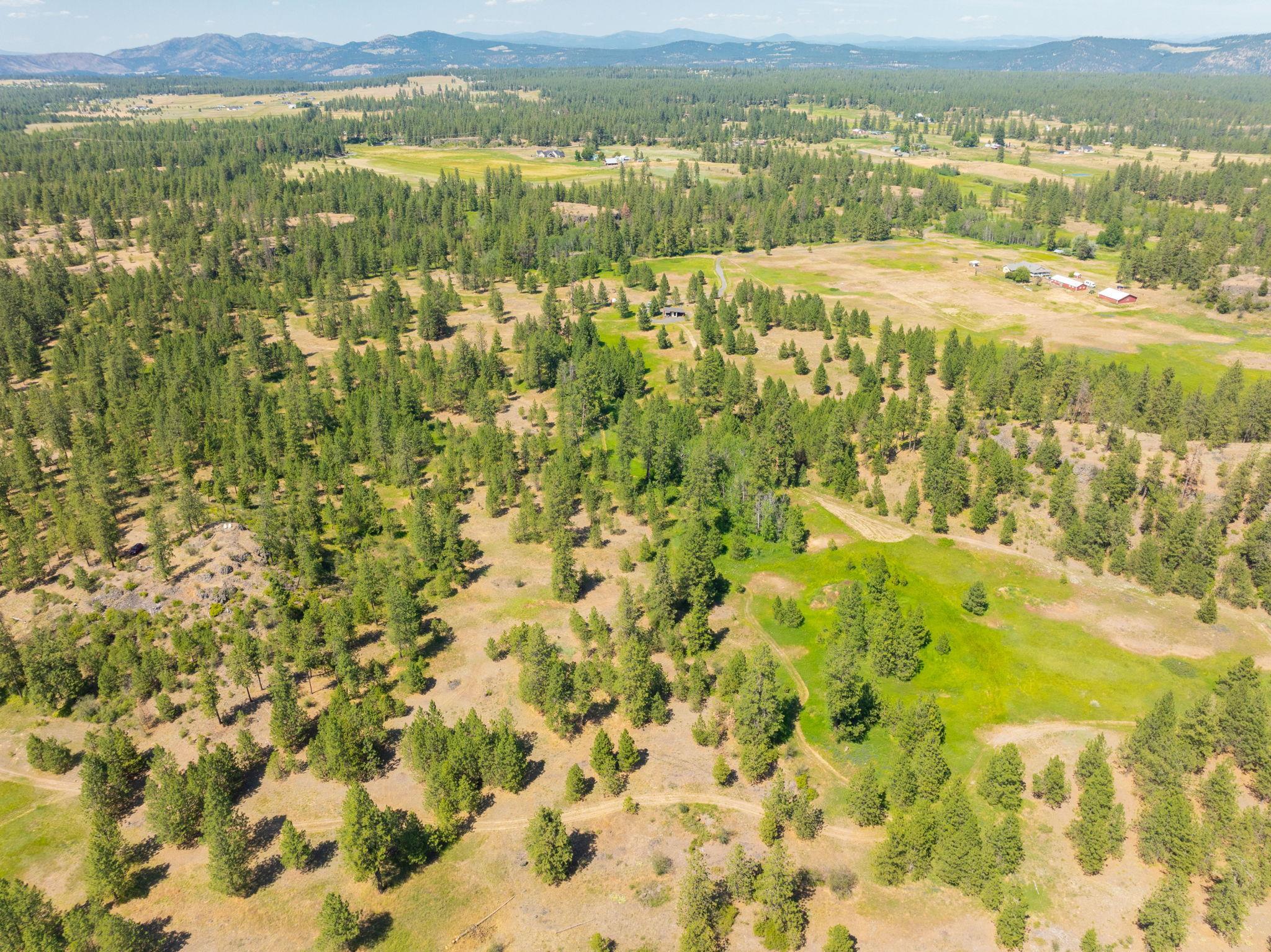 Nine Mile Falls, Washington, 99026, United States, ,Land,For Sale,1960887