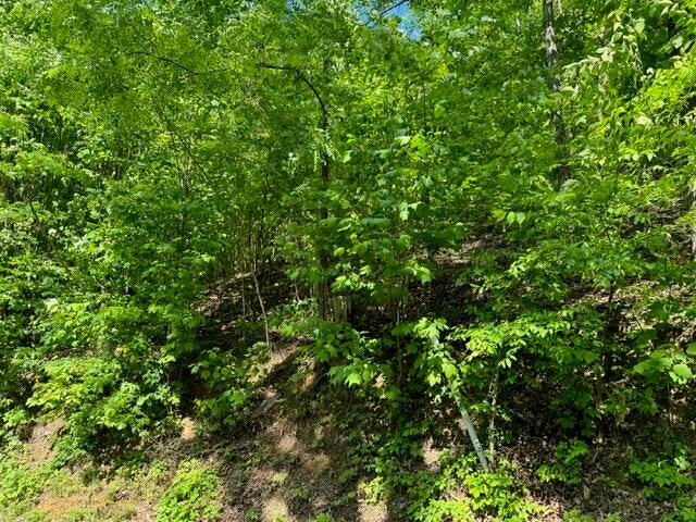 Sevierville, Tennessee, 37876, United States, 13 Bedrooms Bedrooms, ,14 BathroomsBathrooms,Residential,For Sale,1974606