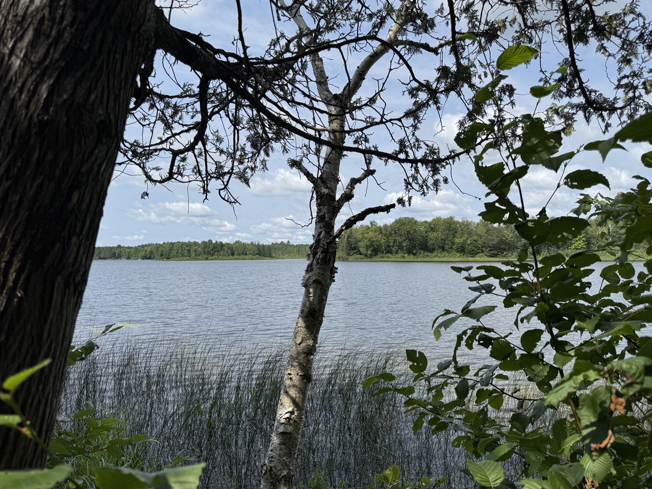 Mercer, Wisconsin, 54547, United States, 3 Bedrooms Bedrooms, ,1 BathroomBathrooms,Residential,For Sale,1974621