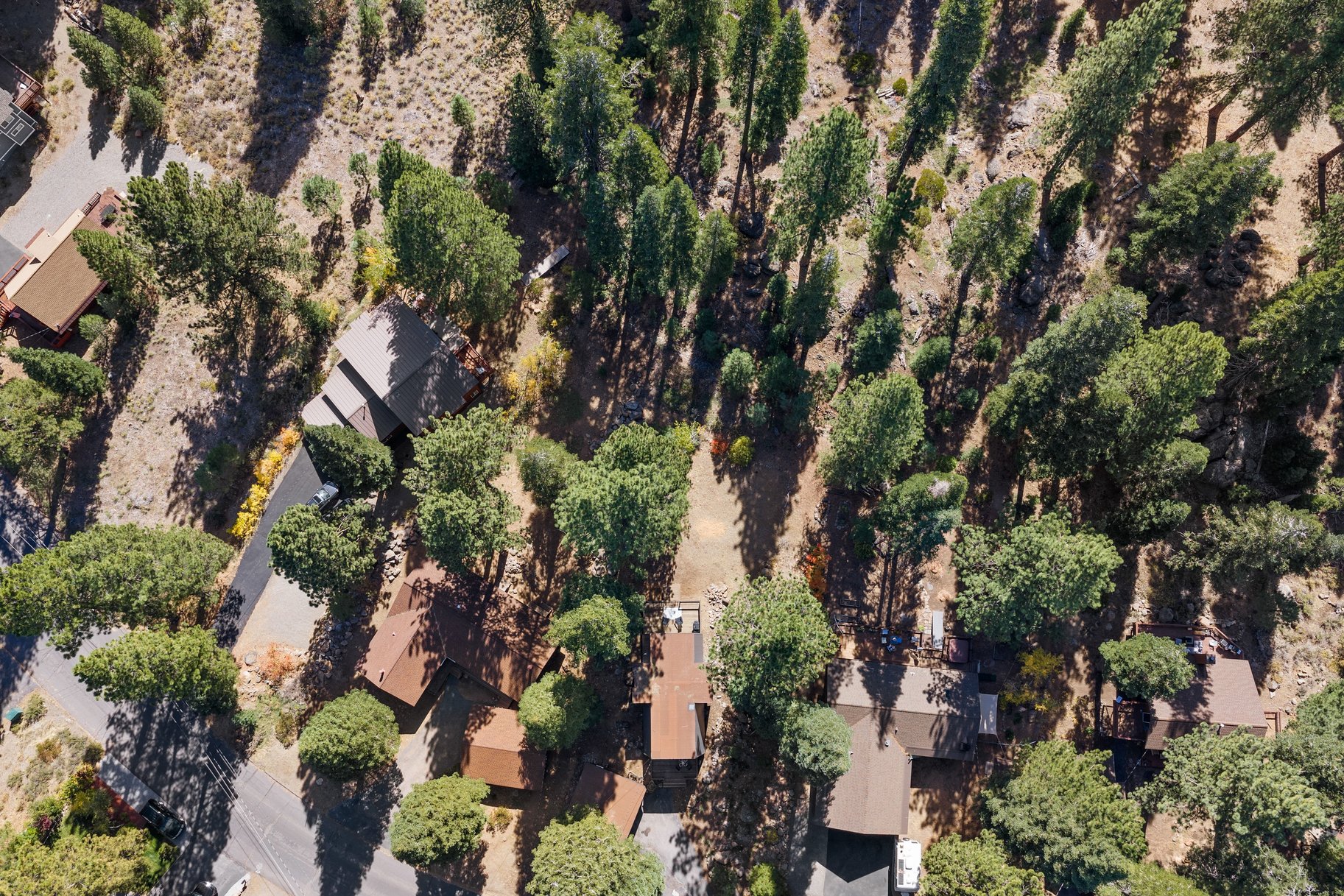  Modern Mountain Retreat Backing to Forest Service Land - 物件實景