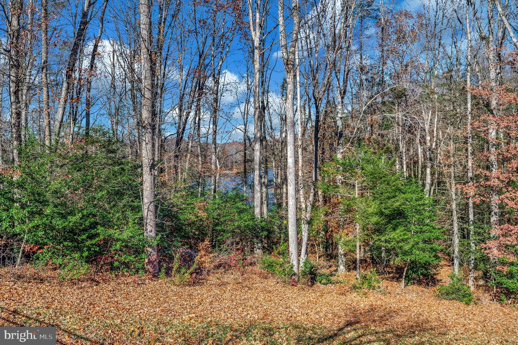 Fredericksburg, Virginia, 22406, United States, 5 Bedrooms Bedrooms, ,6 BathroomsBathrooms,Residential,For Sale,1981857