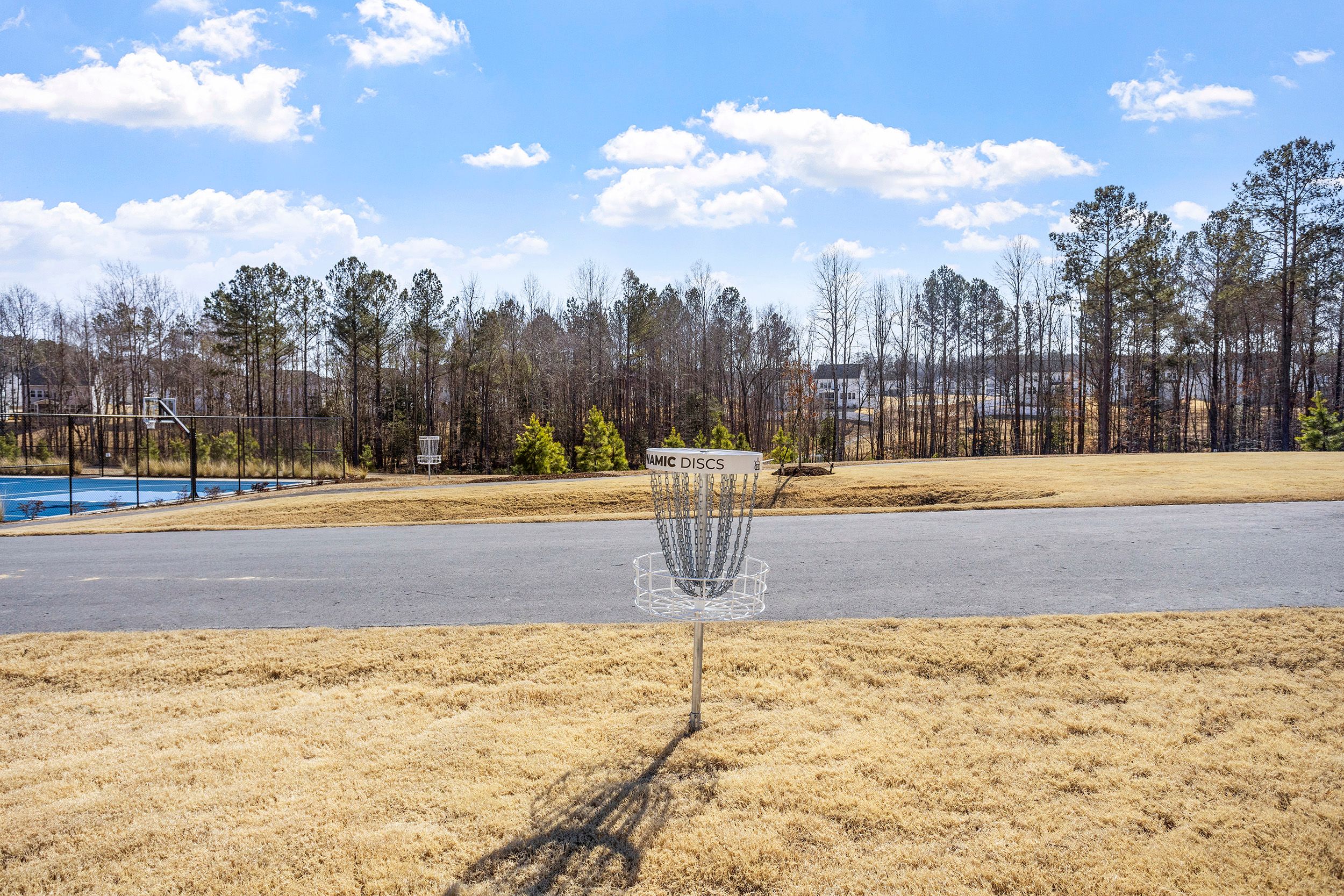  156 Sweet Lilac Way, Raleigh, NC 27610 - 物件實景