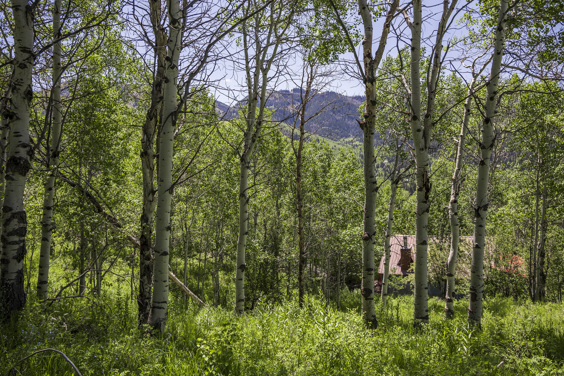  Lot in Oakley Utah with Views - 物件實景