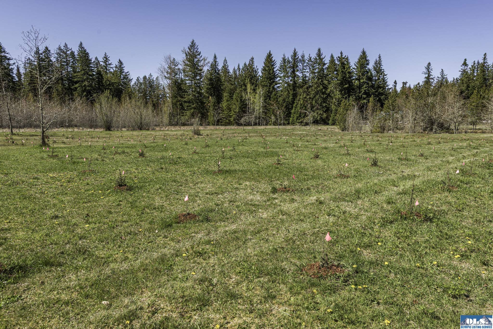 Sequim, Washington, 98382, United States, ,Land,For Sale,1787569