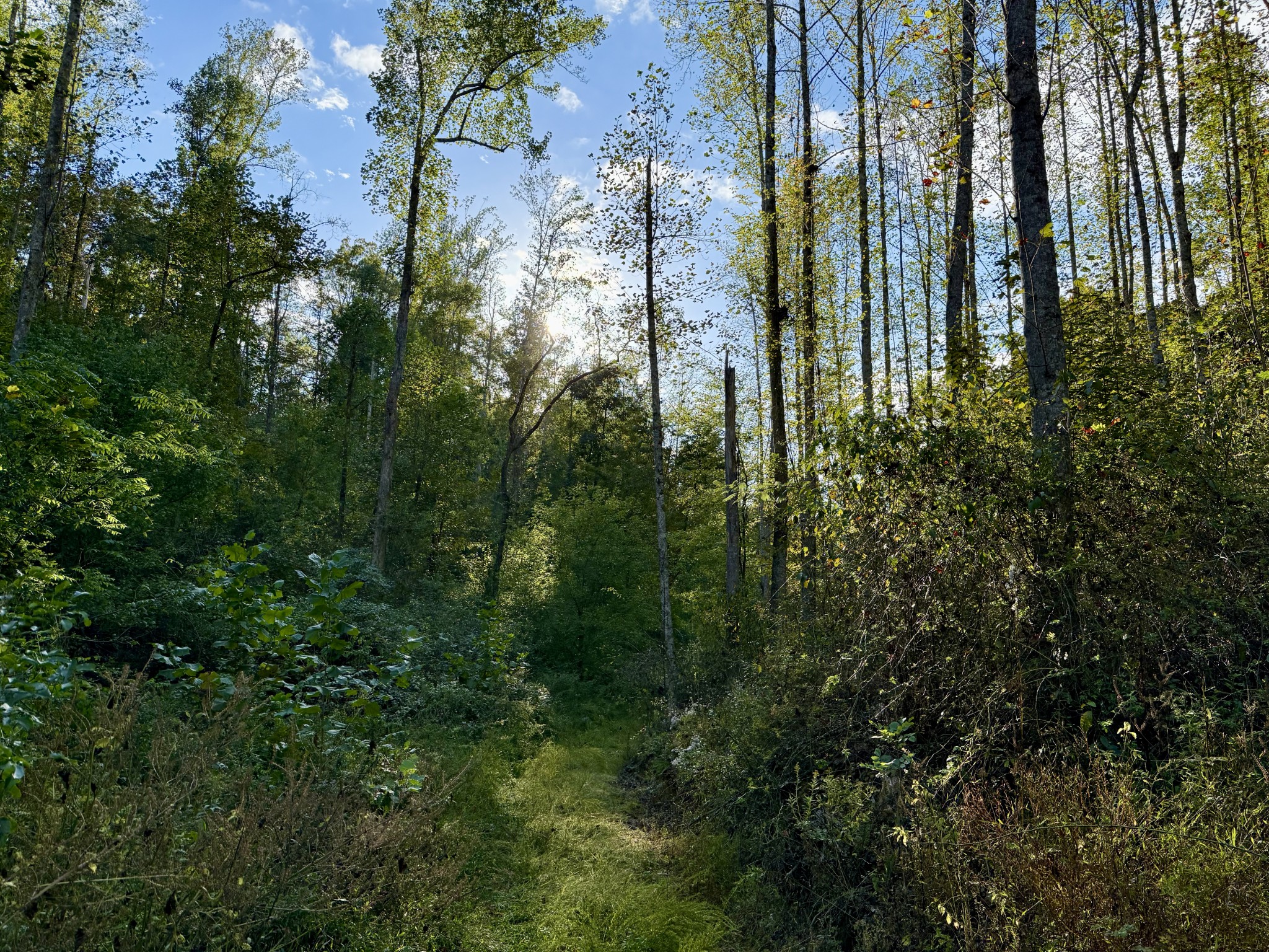 Lynchburg, Tennessee, 37388, United States, ,Land,For Sale,1982223