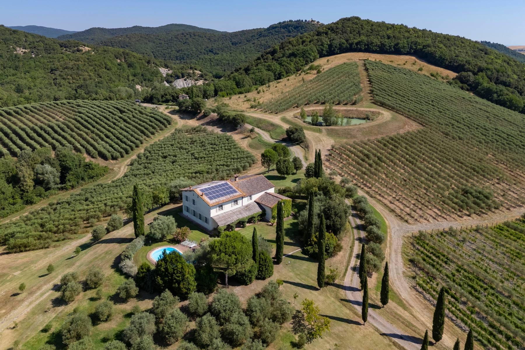  Tuscan estate with vineyards and winery - 物件實景