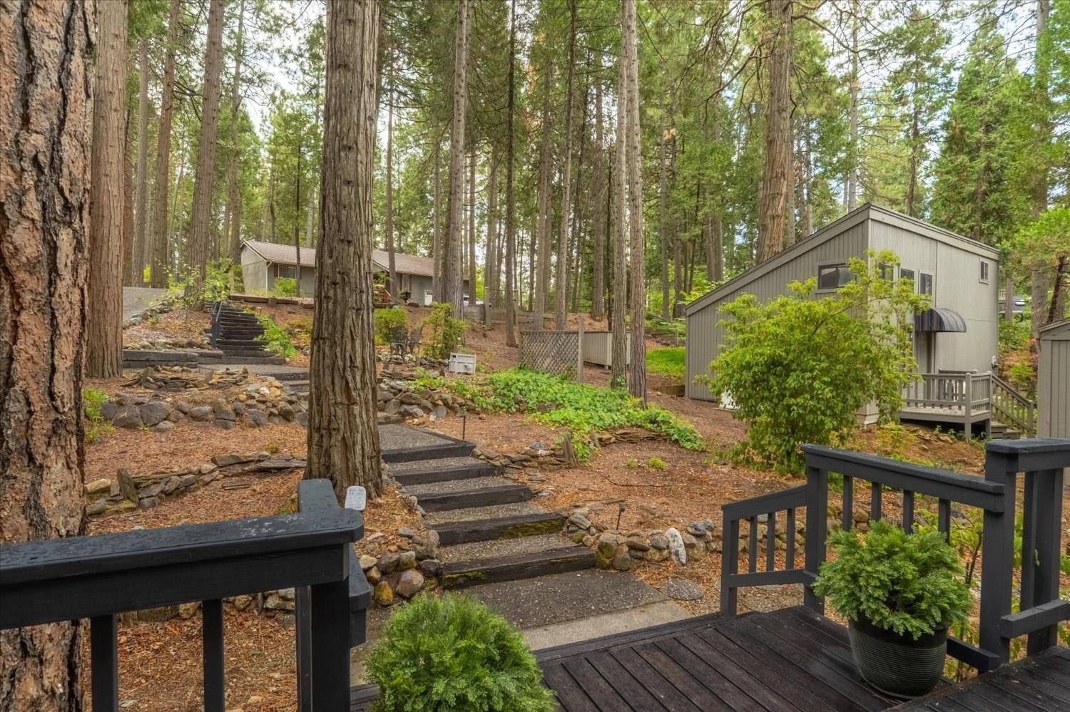 Murphys, California, 95247, United States, 4 Bedrooms Bedrooms, ,3 BathroomsBathrooms,Residential,For Sale,1981649