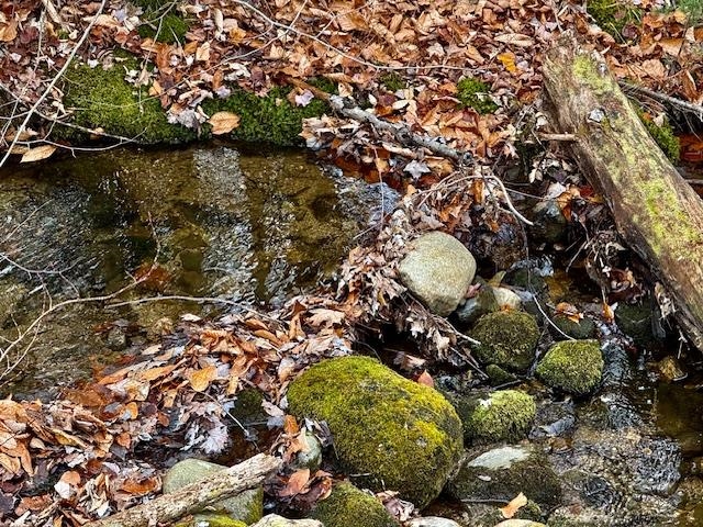 Eaton, New Hampshire, 03848, United States, ,Residential,For Sale,1998522