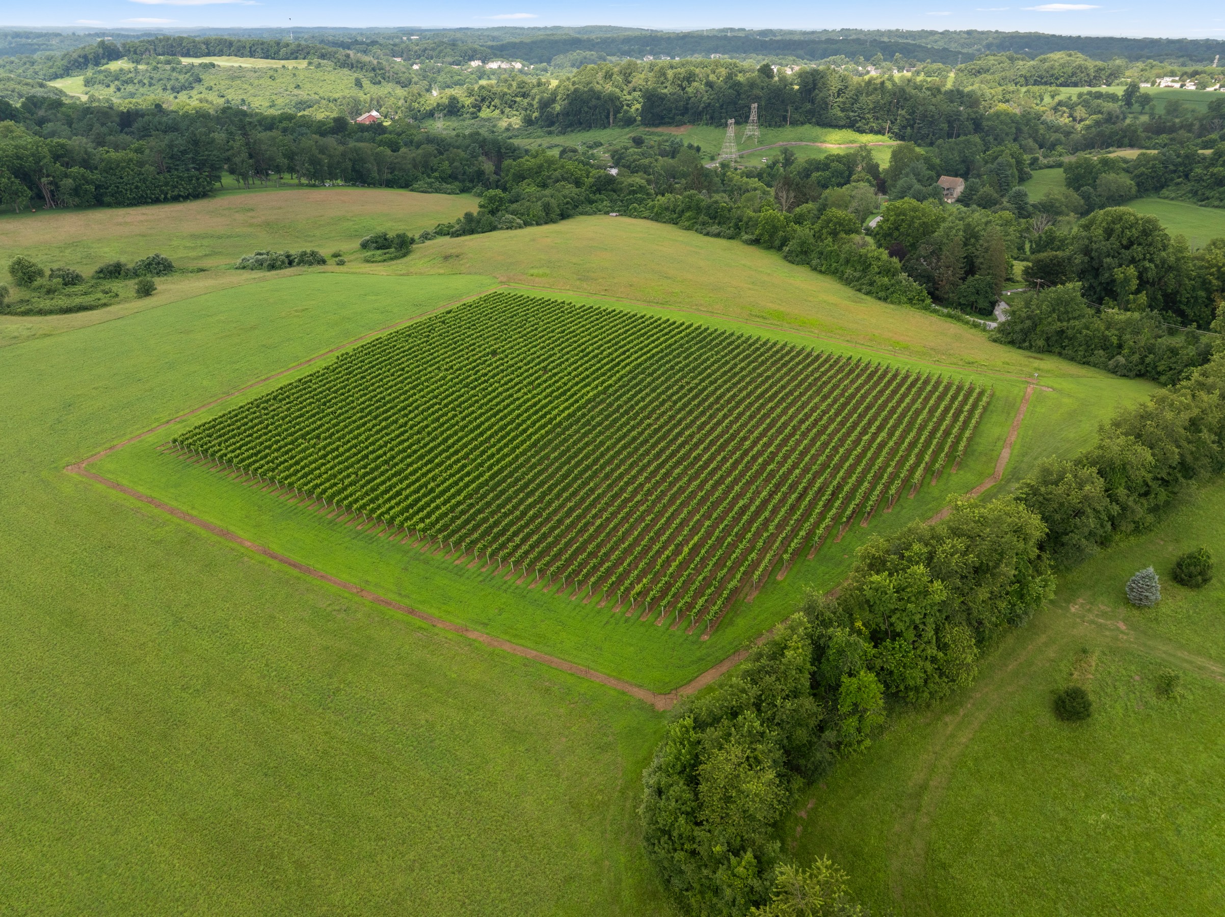  NONE AVAILABLE - 物件實景