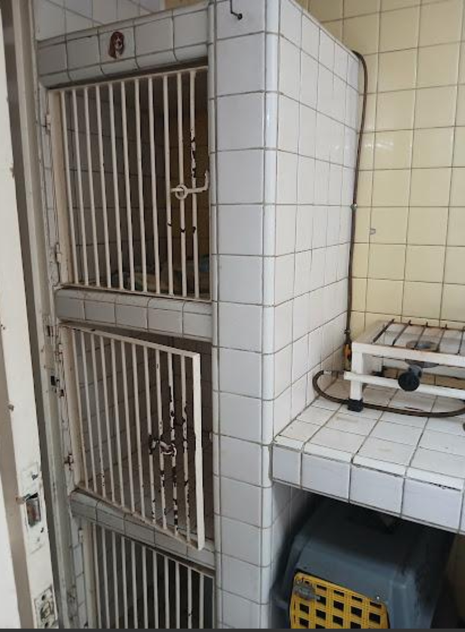 Coyoacán, Ciudad de México, 04200, Mexico, 4 Bedrooms Bedrooms, ,2 BathroomsBathrooms,Residential,For Sale,1916889