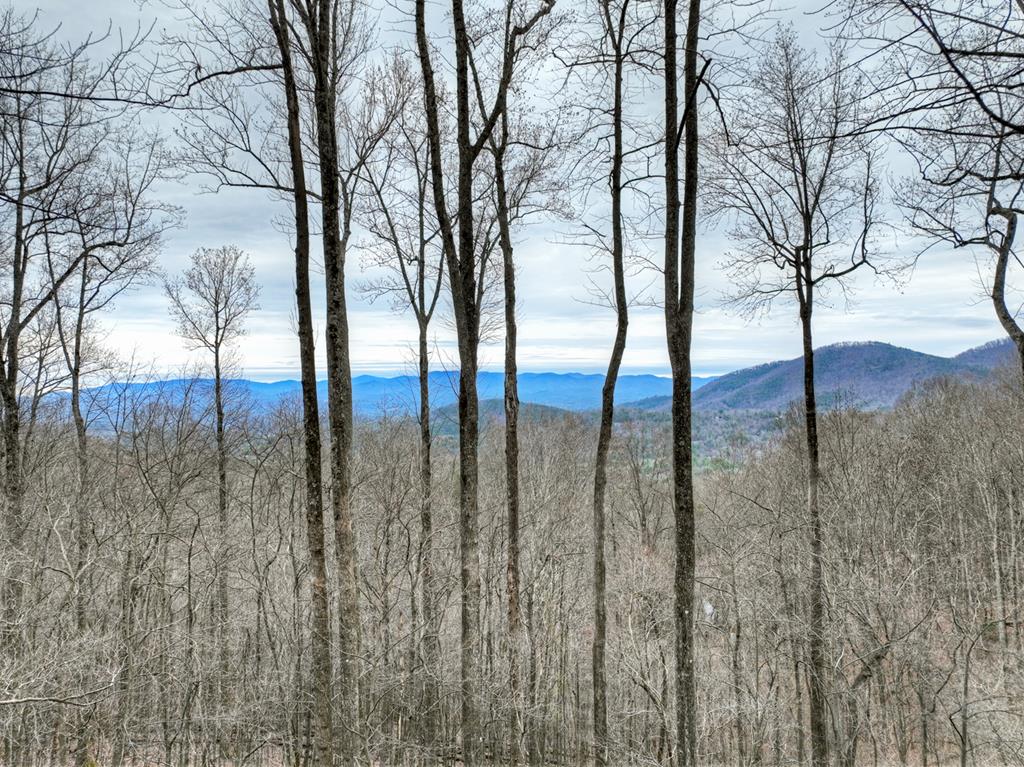 Ellijay, Georgia, 30536, United States, 4 Bedrooms Bedrooms, ,3 BathroomsBathrooms,Residential,For Sale,2003227