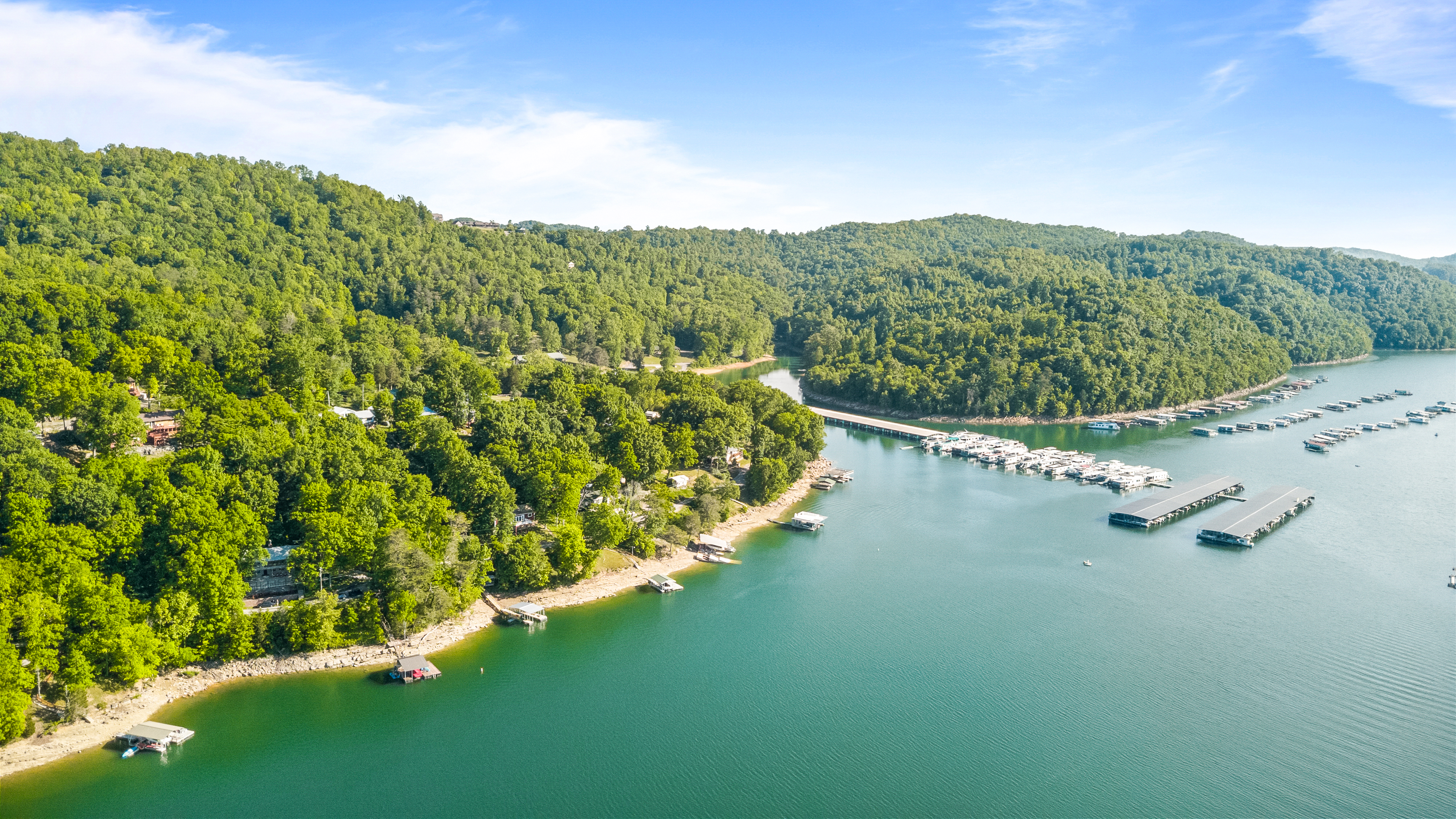  244 Lakeshore Drive, Maynardville, TN 37807 - 物件實景