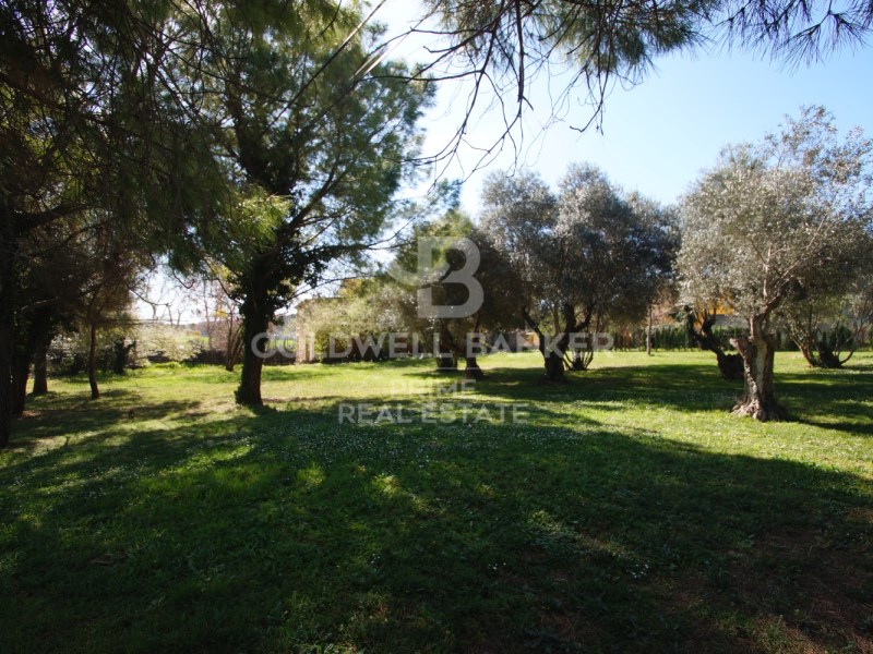 Girona, Vilademuls, Galliners Girona, Vilademuls, Vilademuls, Catalonia, ES, 5 Bedrooms Bedrooms, ,7 BathroomsBathrooms,Residential,For Sale,Girona, Vilademuls, Galliners Girona, Vilademuls, ,1616786