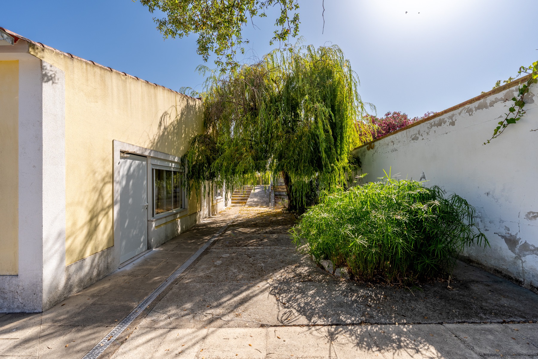  House, 12 bedrooms, for Sale - 物件實景