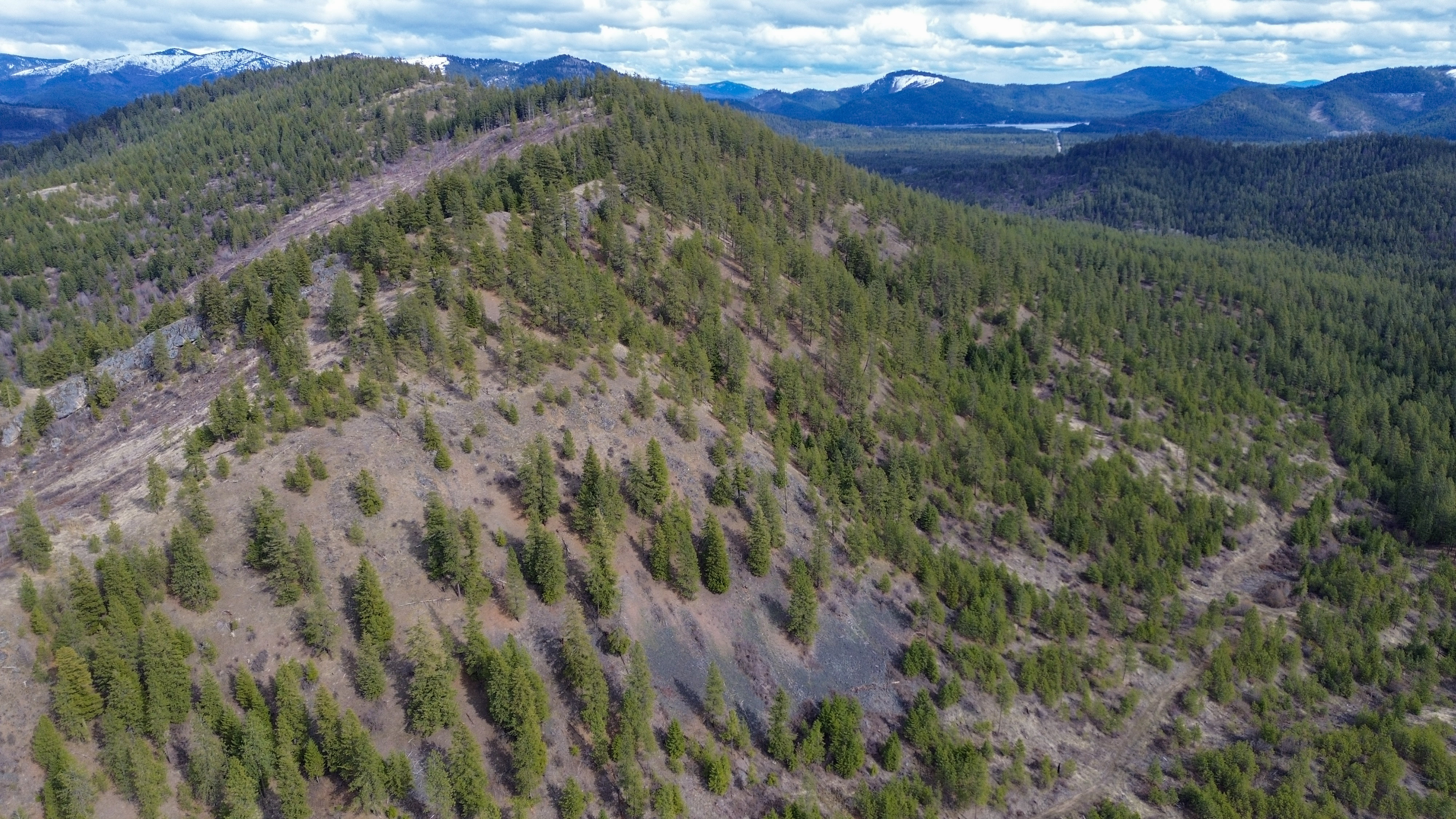 Valley, Washington, 99181, United States, ,Land,For Sale,1979391