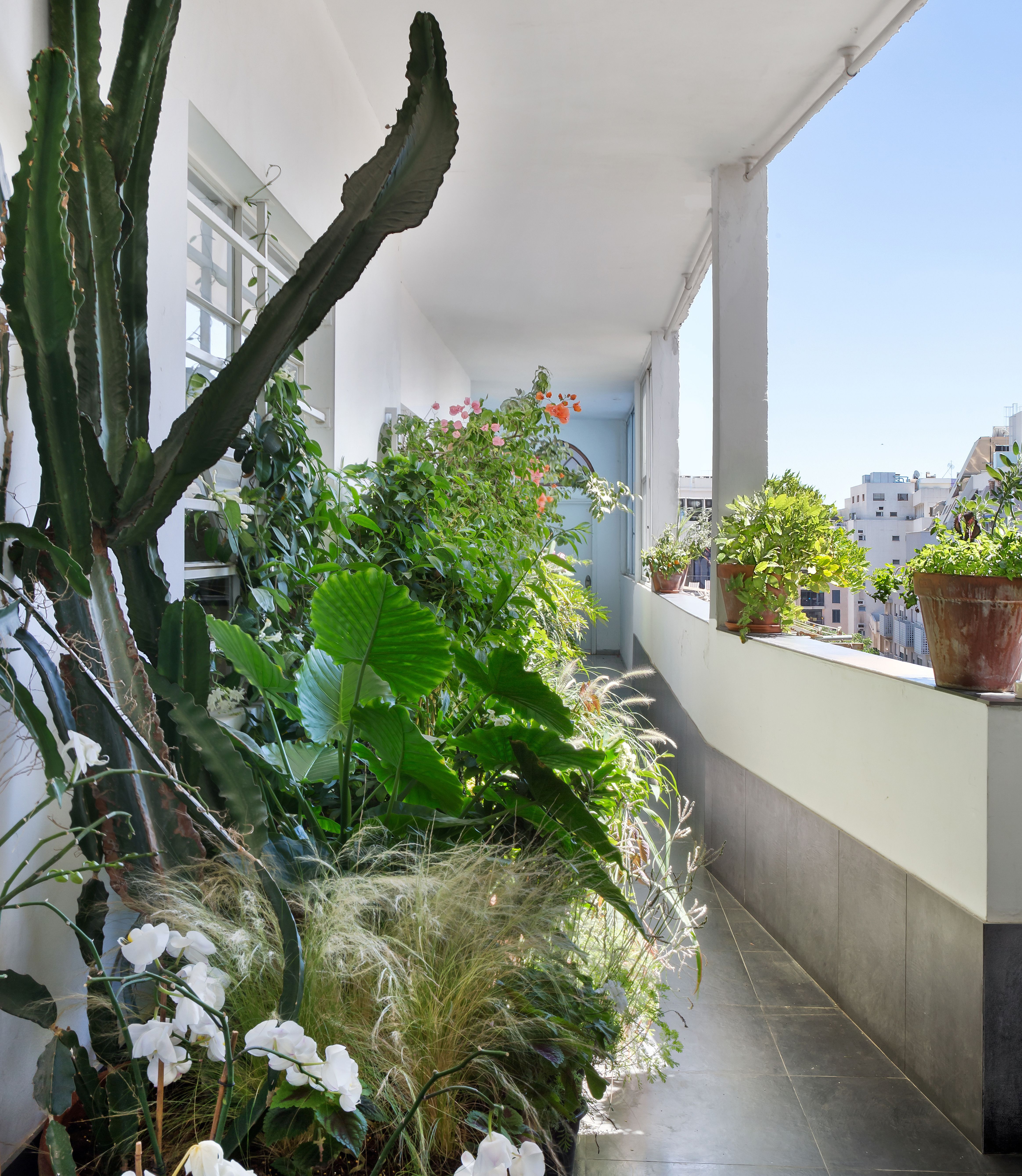  Architectural Masterpiece in the Heart of Florentin Neigborhood - 物件實景
