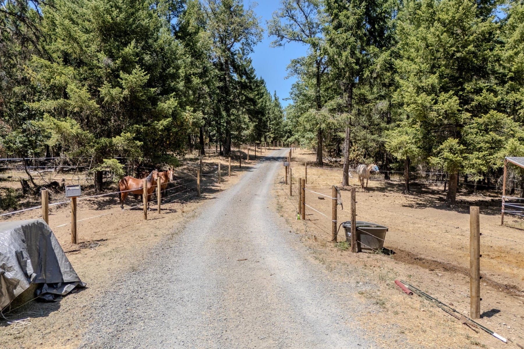  7036 Griffin Lane Jacksonville, OR 97530 - 物件實景