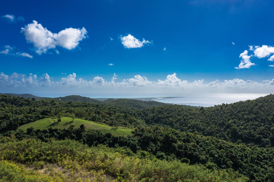 St. Croix, Virgin Islands, 00840, VI, ,Land,For Sale,1792958